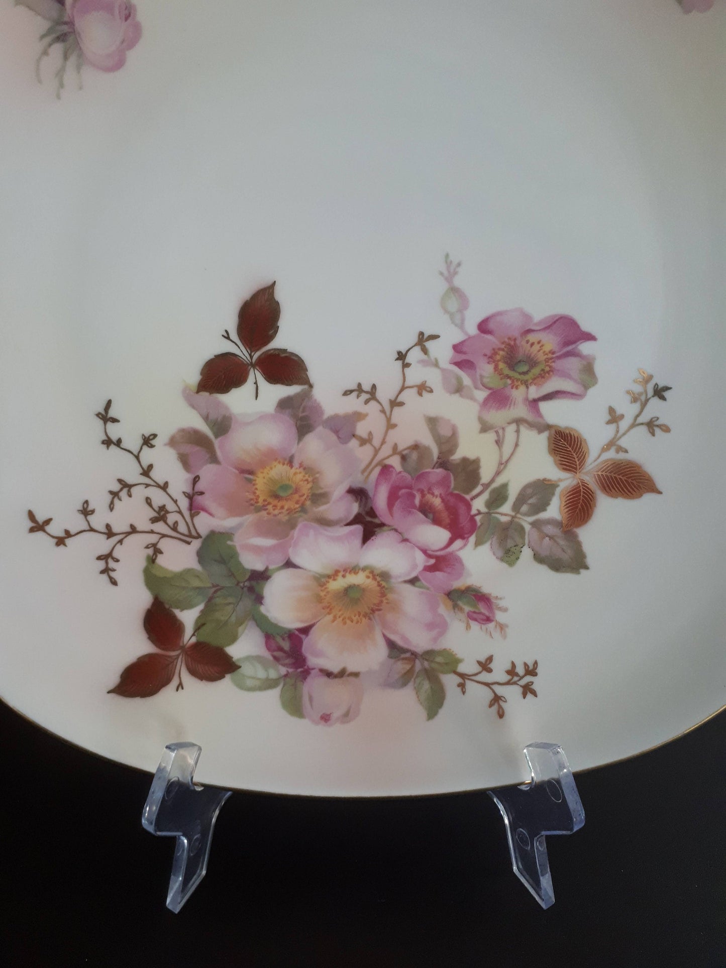 Vintage Schumann Arzberg Germany "Wild Rose" Collector 10 1/2" Inches Plate - Hand Painted Pink Wild Roses with Gold Leaves and Vines