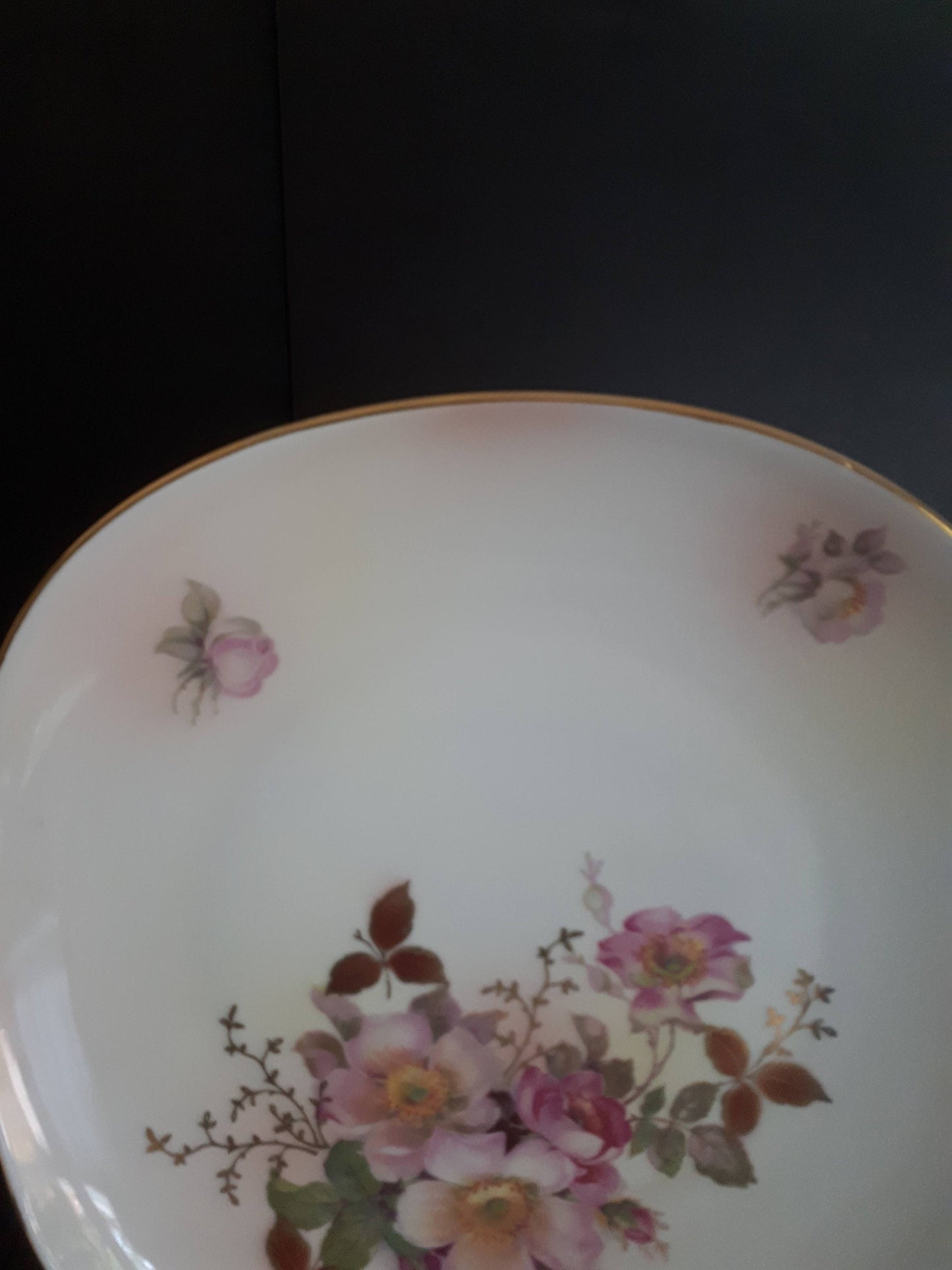 Vintage Schumann Arzberg Germany "Wild Rose" Collector 10 1/2" Inches Plate - Hand Painted Pink Wild Roses with Gold Leaves and Vines