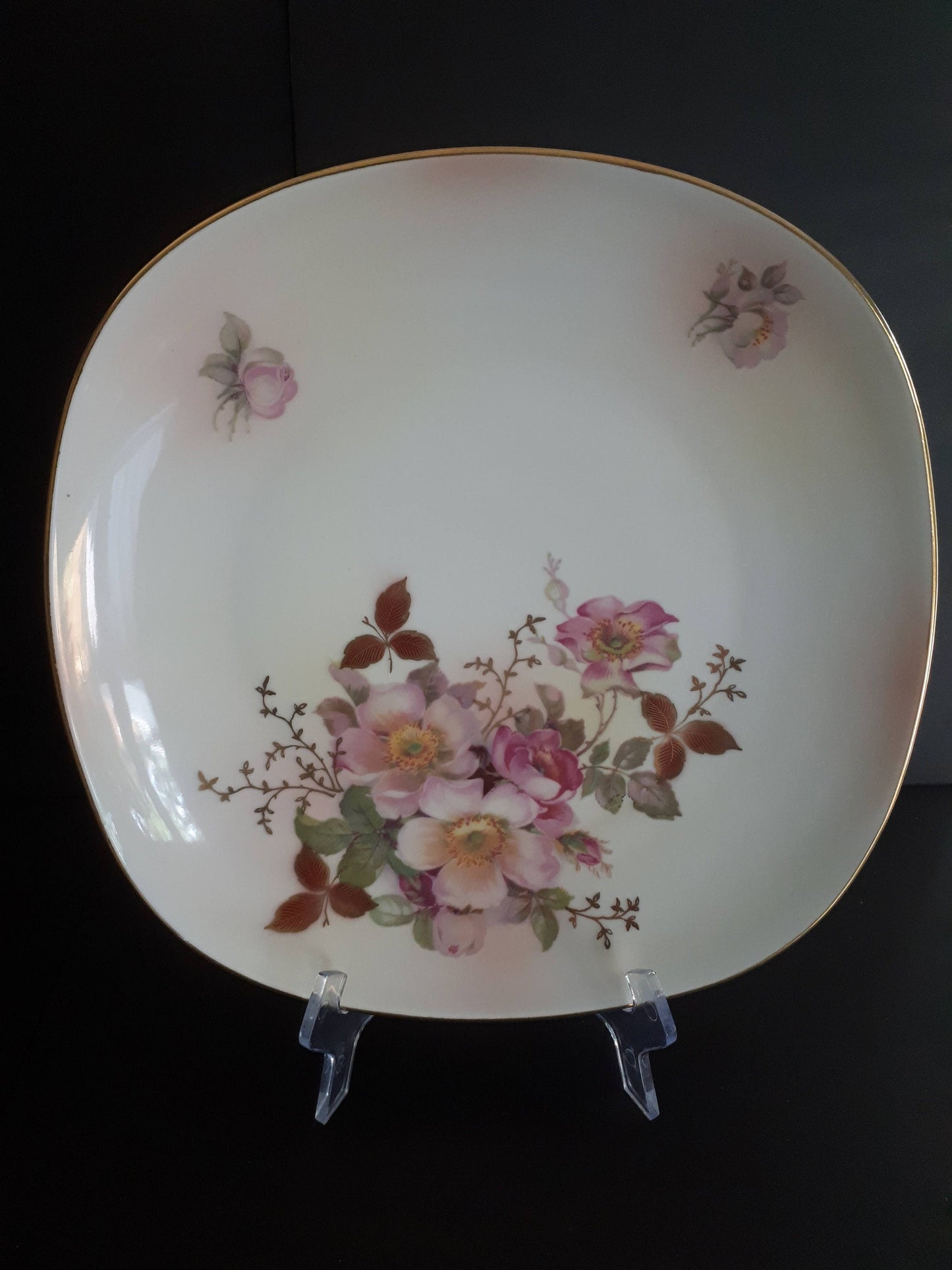 Vintage Schumann Arzberg Germany "Wild Rose" Collector 10 1/2" Inches Plate - Hand Painted Pink Wild Roses with Gold Leaves and Vines