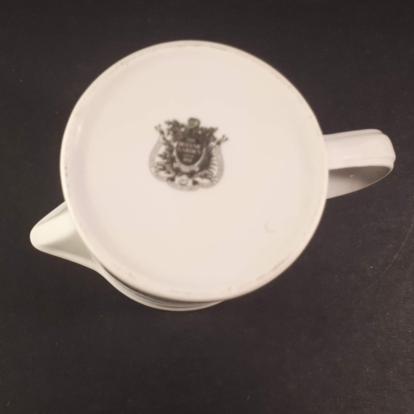 Portmeirion Botanic garden Myosotis Palustris "Forget me not "Creamer-