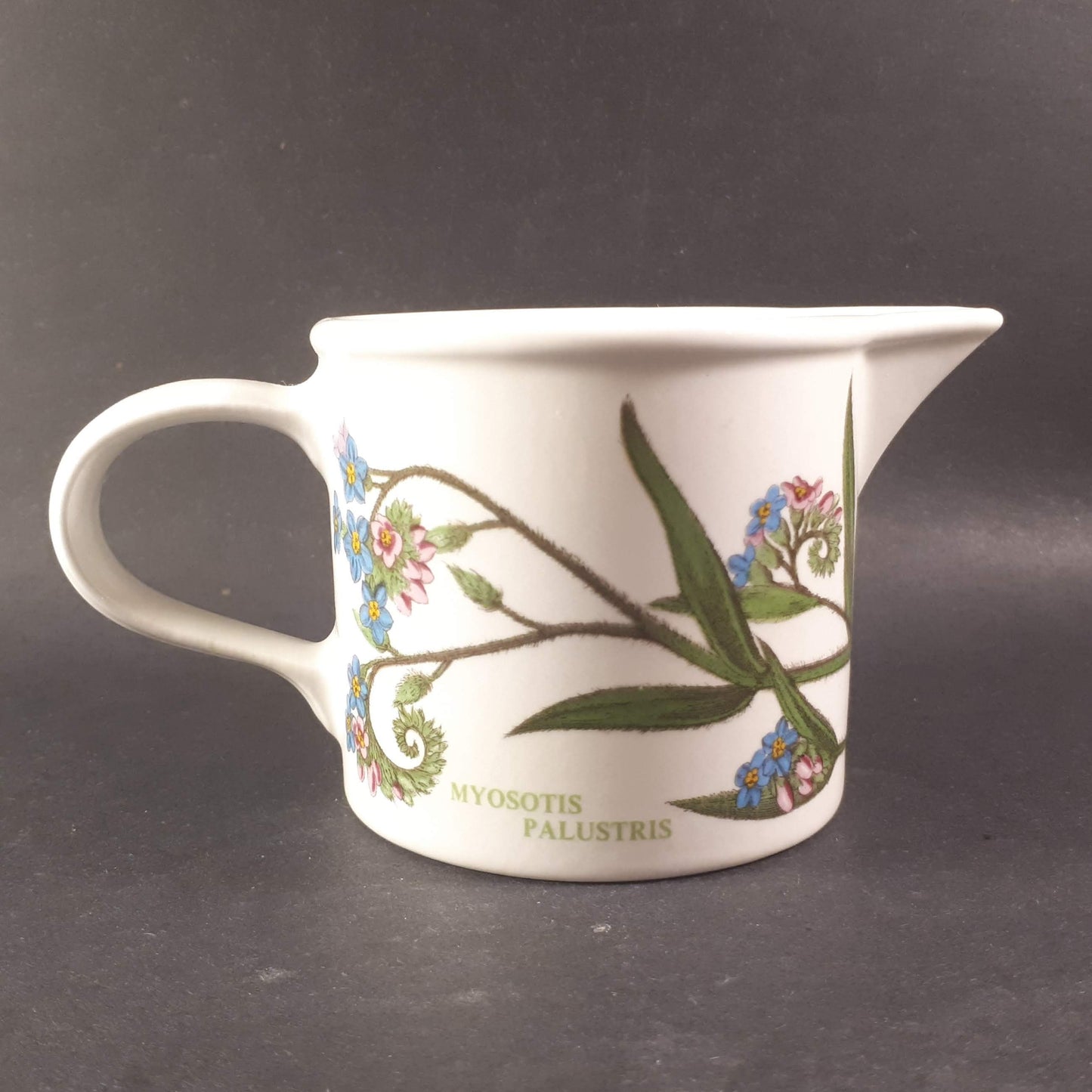 Portmeirion Botanic garden Myosotis Palustris "Forget me not "Creamer-