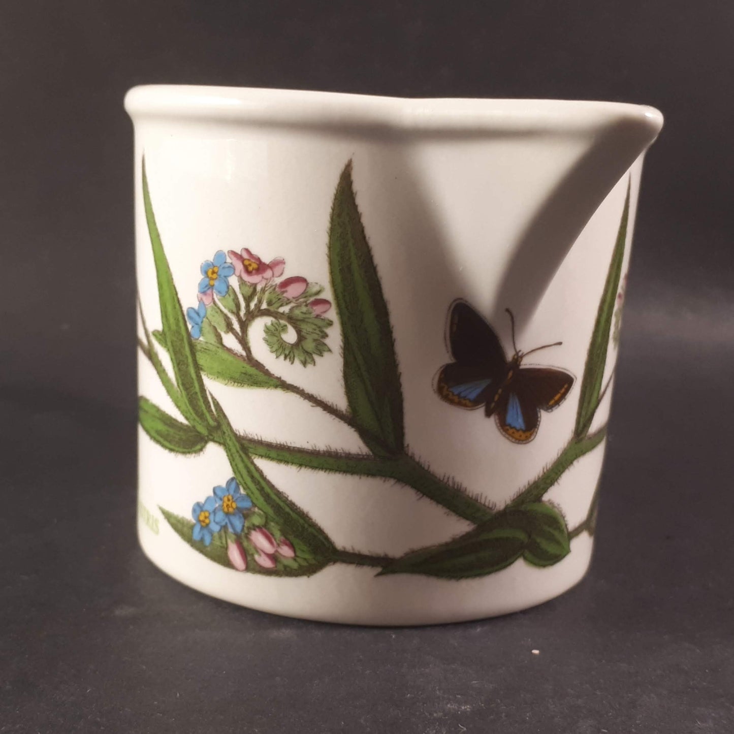 Portmeirion Botanic garden Myosotis Palustris "Forget me not "Creamer-