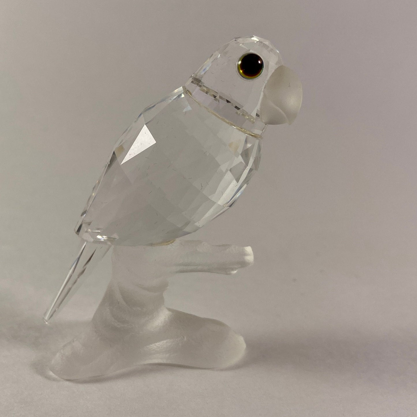 Swarovski Up In The Trees Parrot Figurine Frosted Base in Excellent Condition