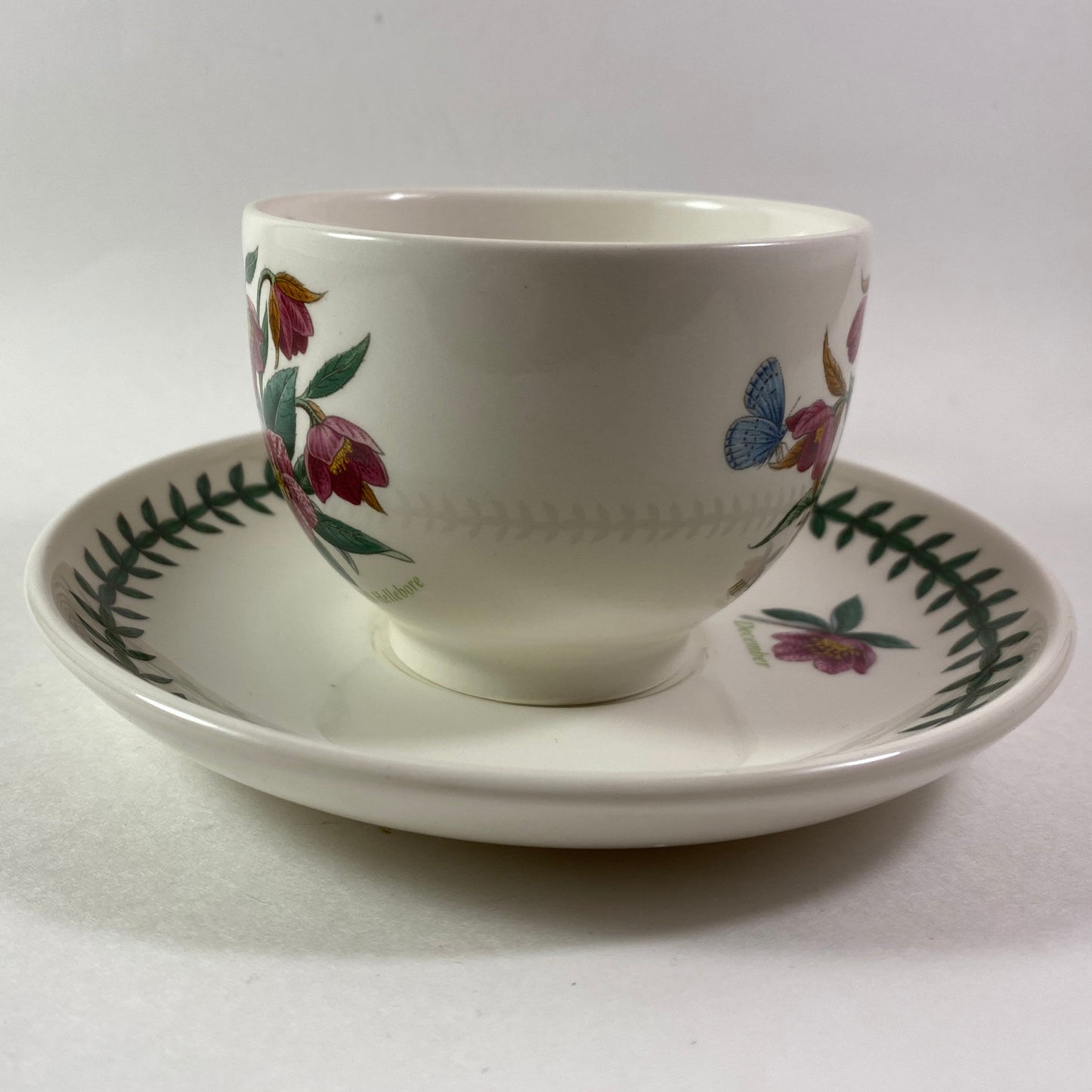 Portmeirion Botanic Garden Helleborus Orientalis hellebore December Cup Saucer