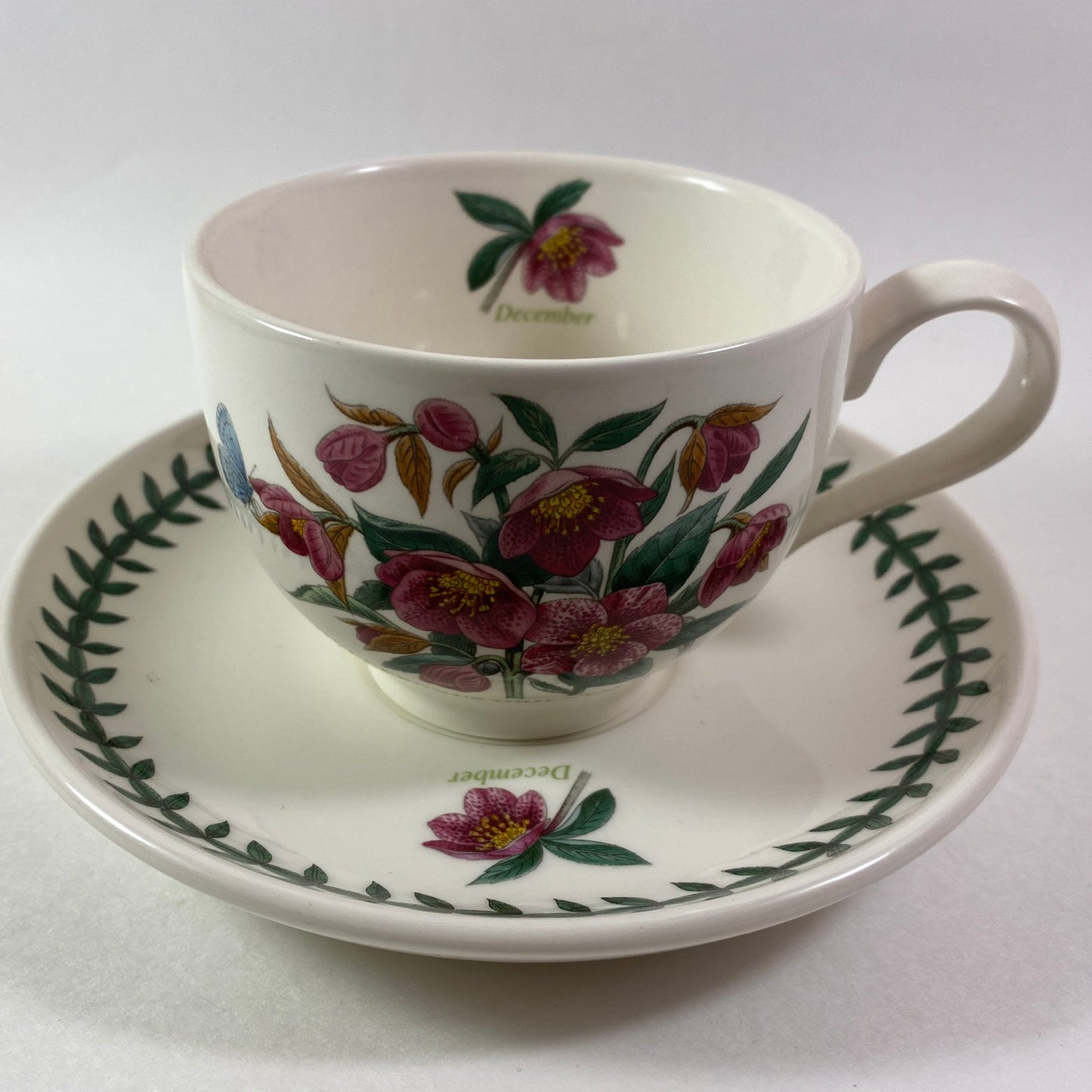 Portmeirion Botanic Garden Helleborus Orientalis hellebore December Cup Saucer