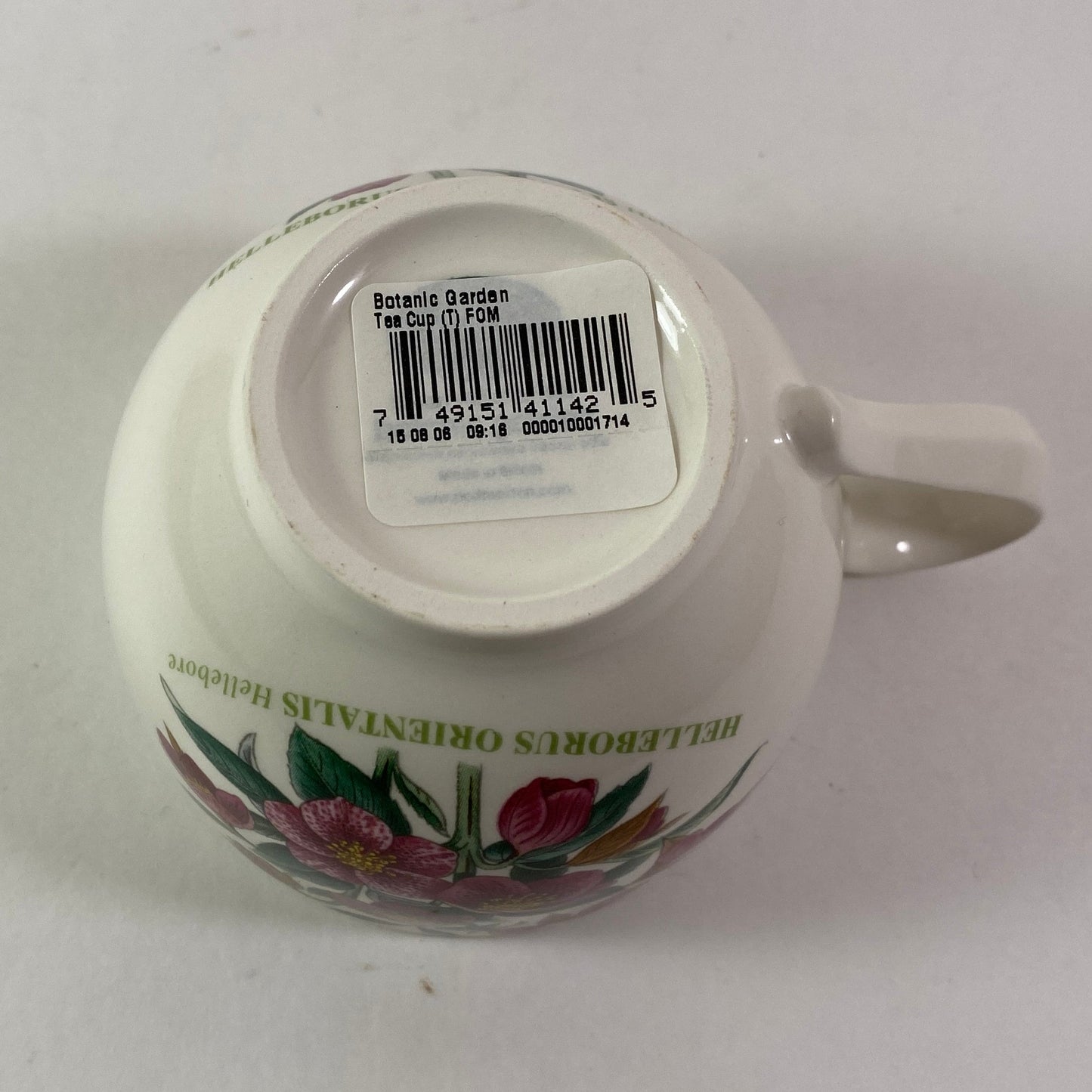 Portmeirion Botanic Garden Helleborus Orientalis hellebore December Cup Saucer