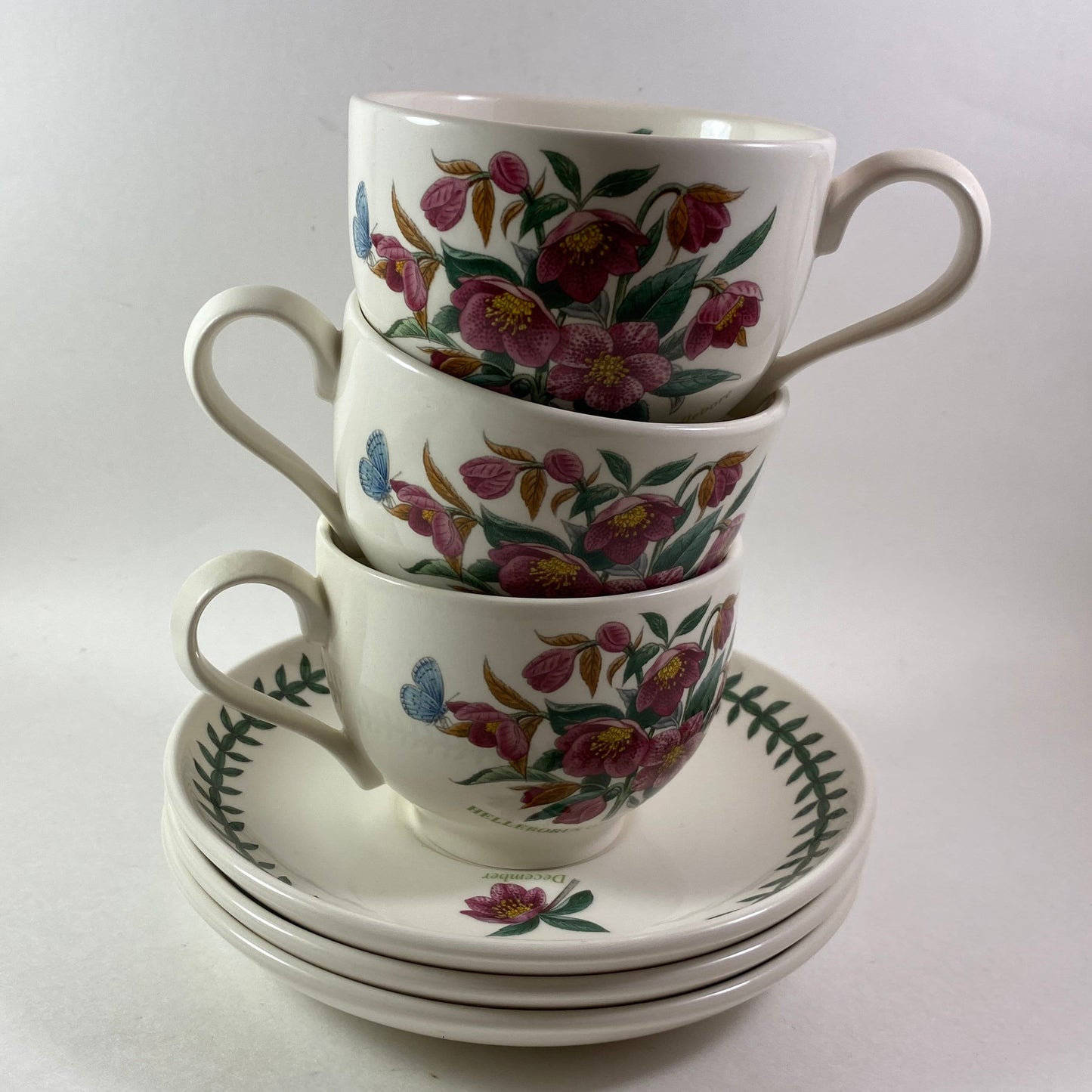 Portmeirion Botanic Garden Helleborus Orientalis hellebore December Cup Saucer