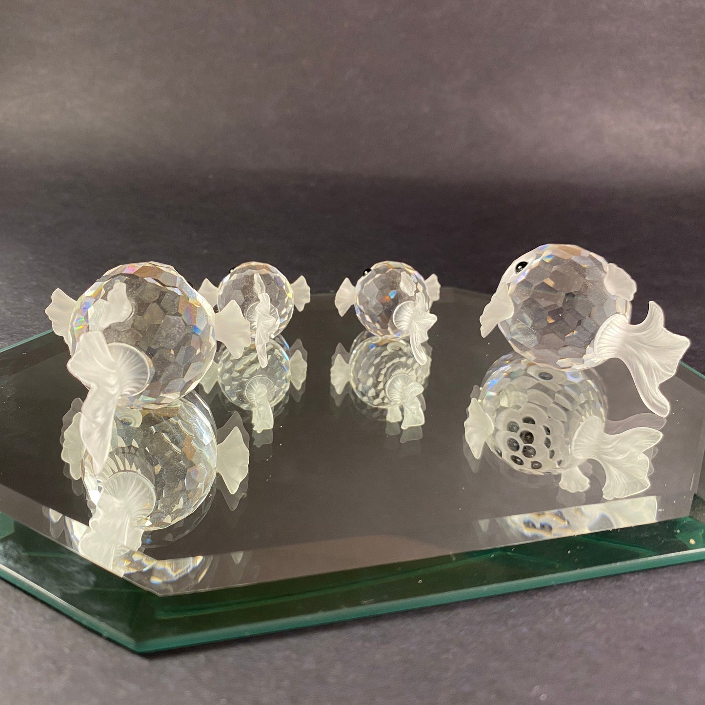 Set of 4 Swarovski Puffer fish family Austrian crystals with display mirror