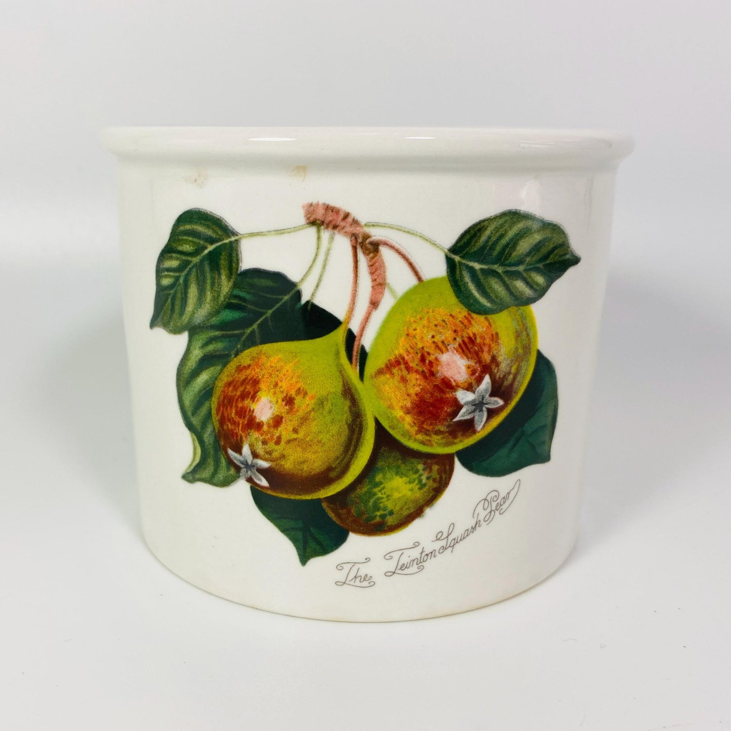 Portmeirion Pomona teinton squash pear storage lidded jar Lidded Canister/Crock