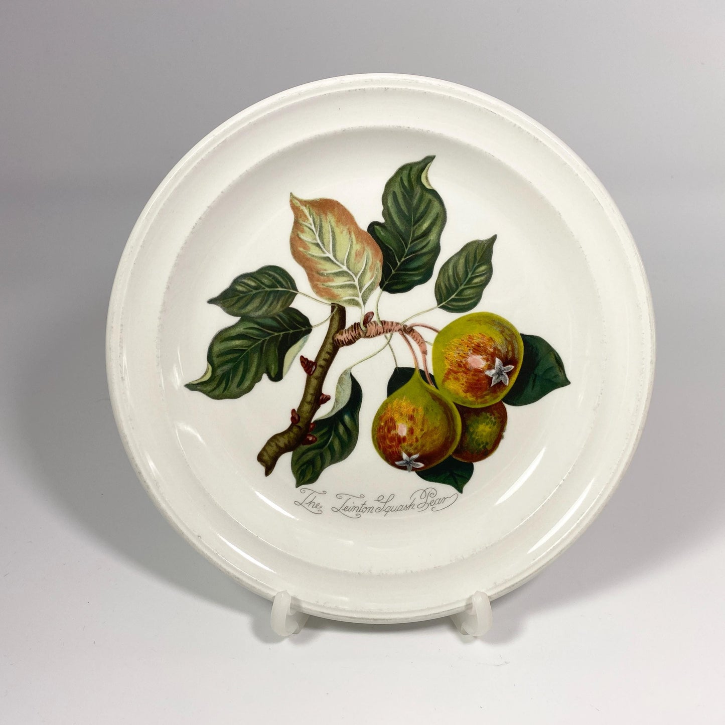 Portmeirion Pomona 8 1/2" Plate The teinton squash pear Made in England