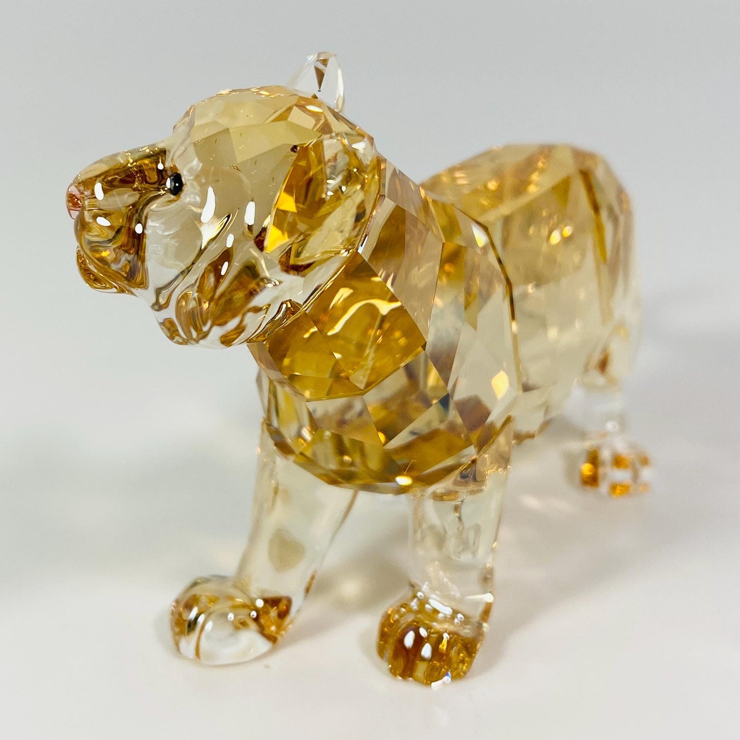 Swarovski SCS Annual Edition 2010 TIGER Jung Cub Standing 1016677 / 1051686
