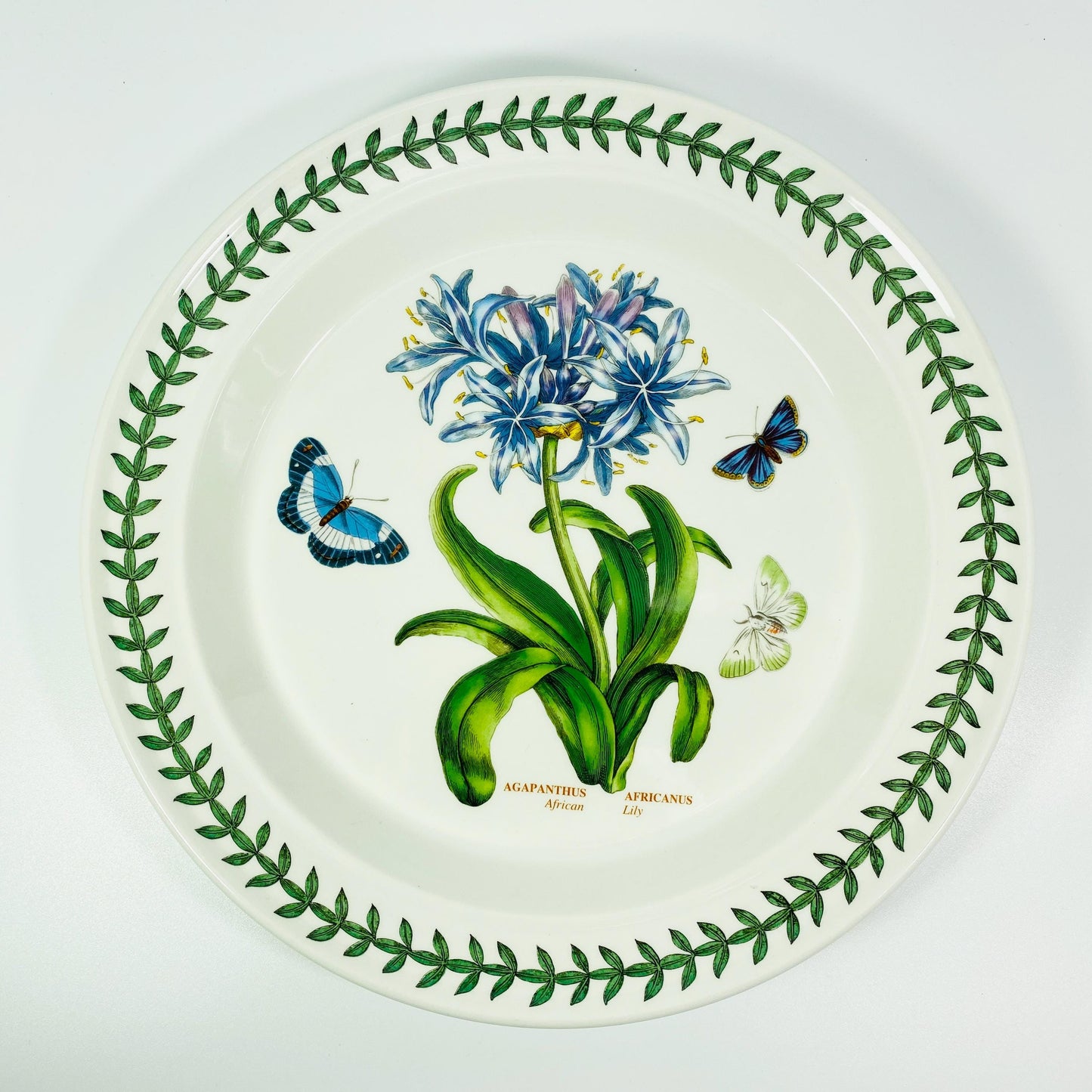 Portmeirion BOTANIC GARDEN African Lily 10.5 Inch Dinner Plate - England