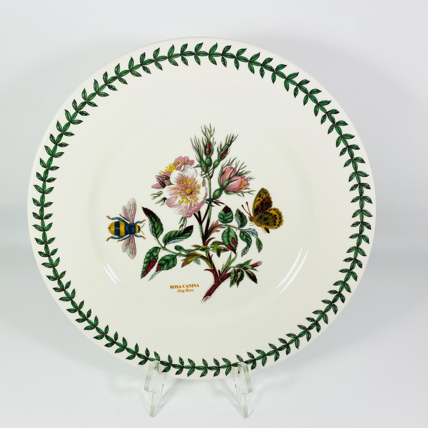Portmeirion The Botanic Garden 10.5” Plate Rosa Canina Dog Rose