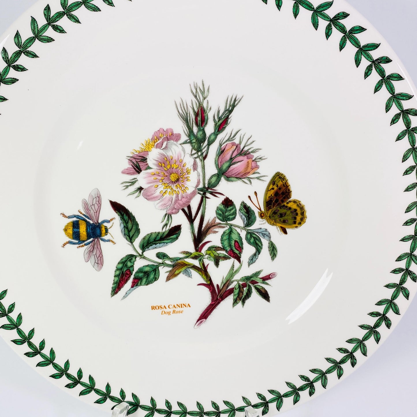Portmeirion The Botanic Garden 10.5” Plate Rosa Canina Dog Rose