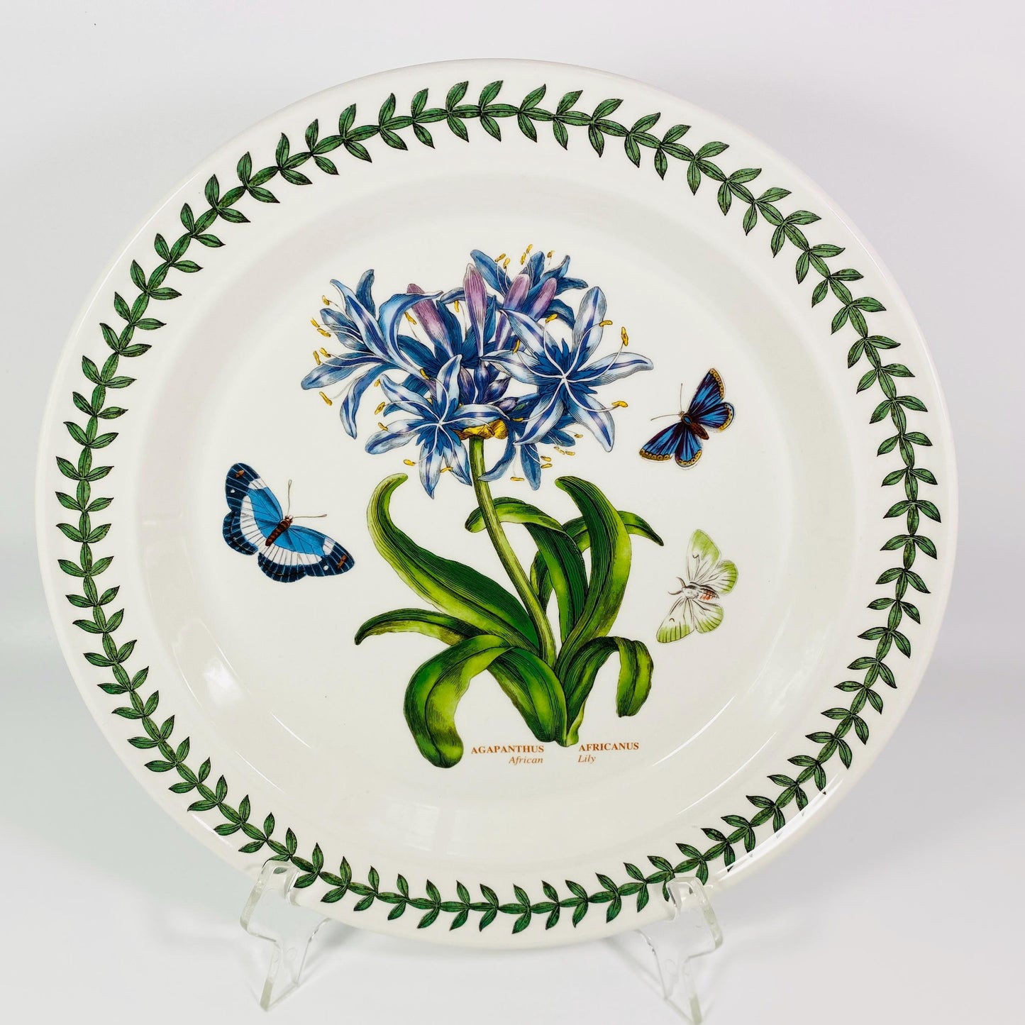 Portmeirion BOTANIC GARDEN African Lily 10.5 Inch Dinner Plate - England