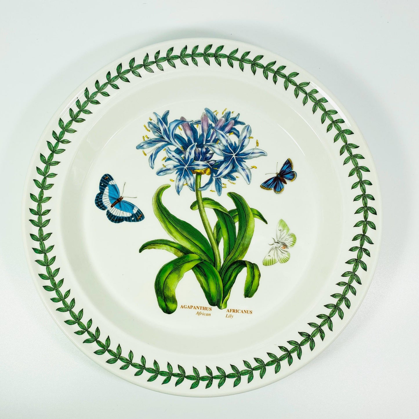 Portmeirion BOTANIC GARDEN African Lily 10.5 Inch Dinner Plate - England