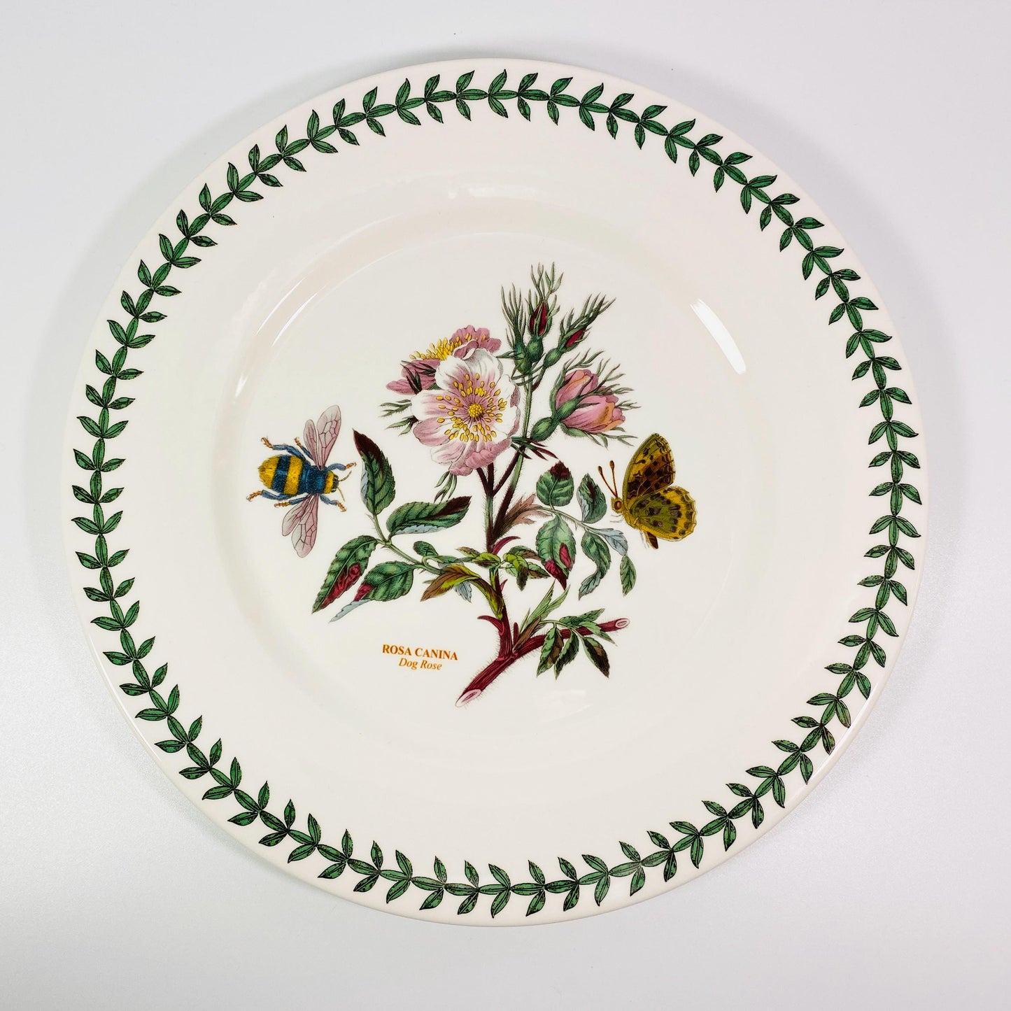 Portmeirion The Botanic Garden 10.5” Plate Rosa Canina Dog Rose