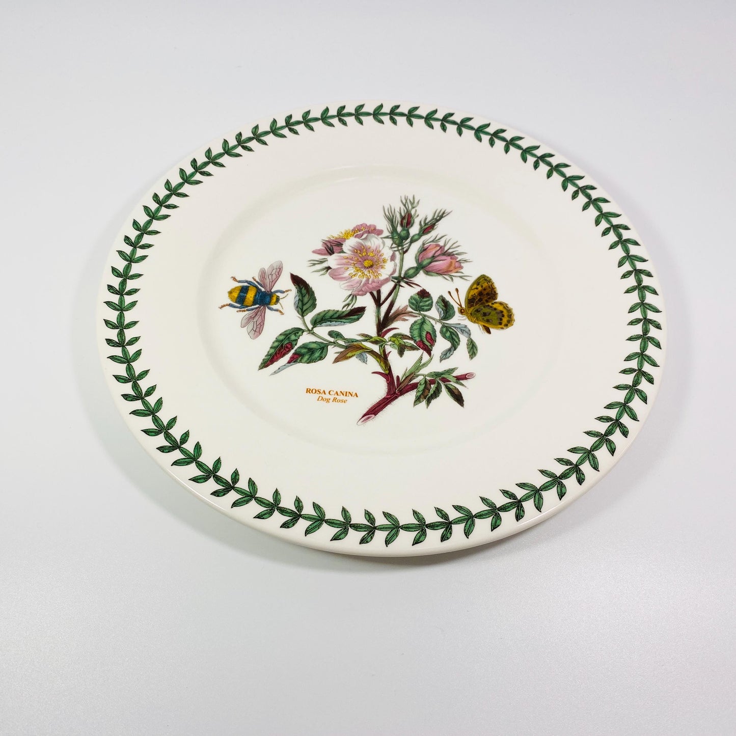 Portmeirion The Botanic Garden 10.5” Plate Rosa Canina Dog Rose