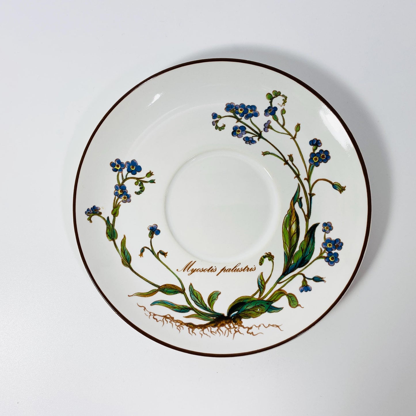 Set of 4 Villeroy & Boch Botanica Myosotis Palustris w/root Saucers 6" Plates