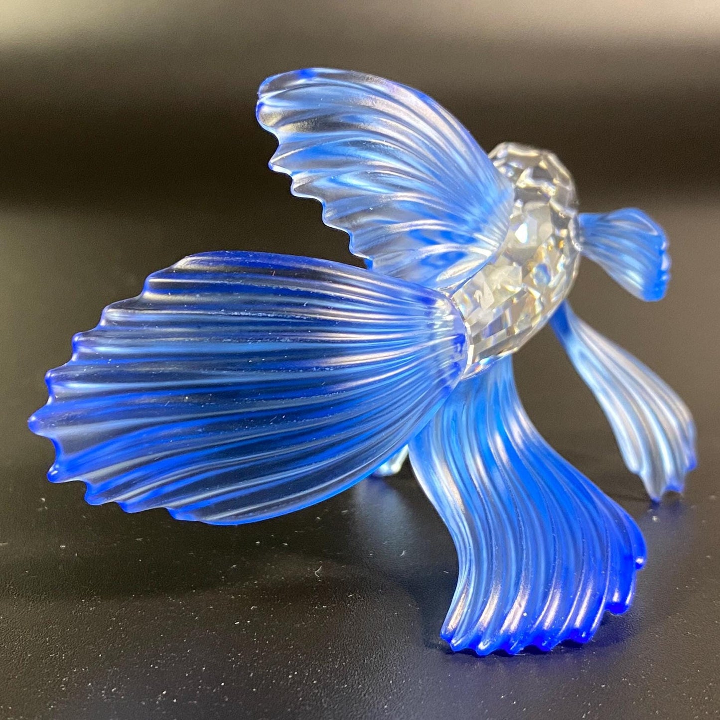 NEW-Swarovski Siamese Fighting Fish Blue, (236718, 7644 000 005) 3.2" - MIB+COA