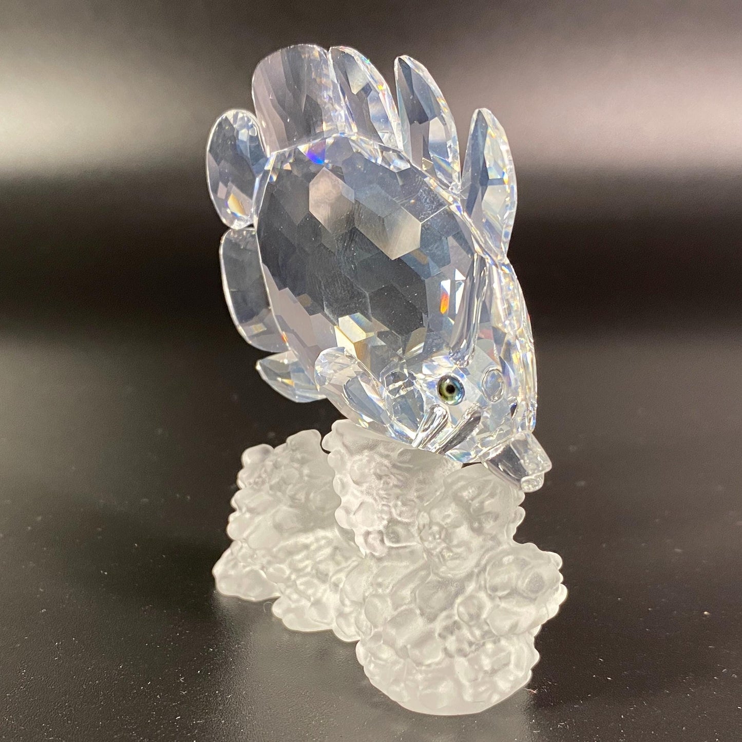 Swarovski Crystal Butterfly Fish Coral Reef - Mint In Box #162888 & CoA