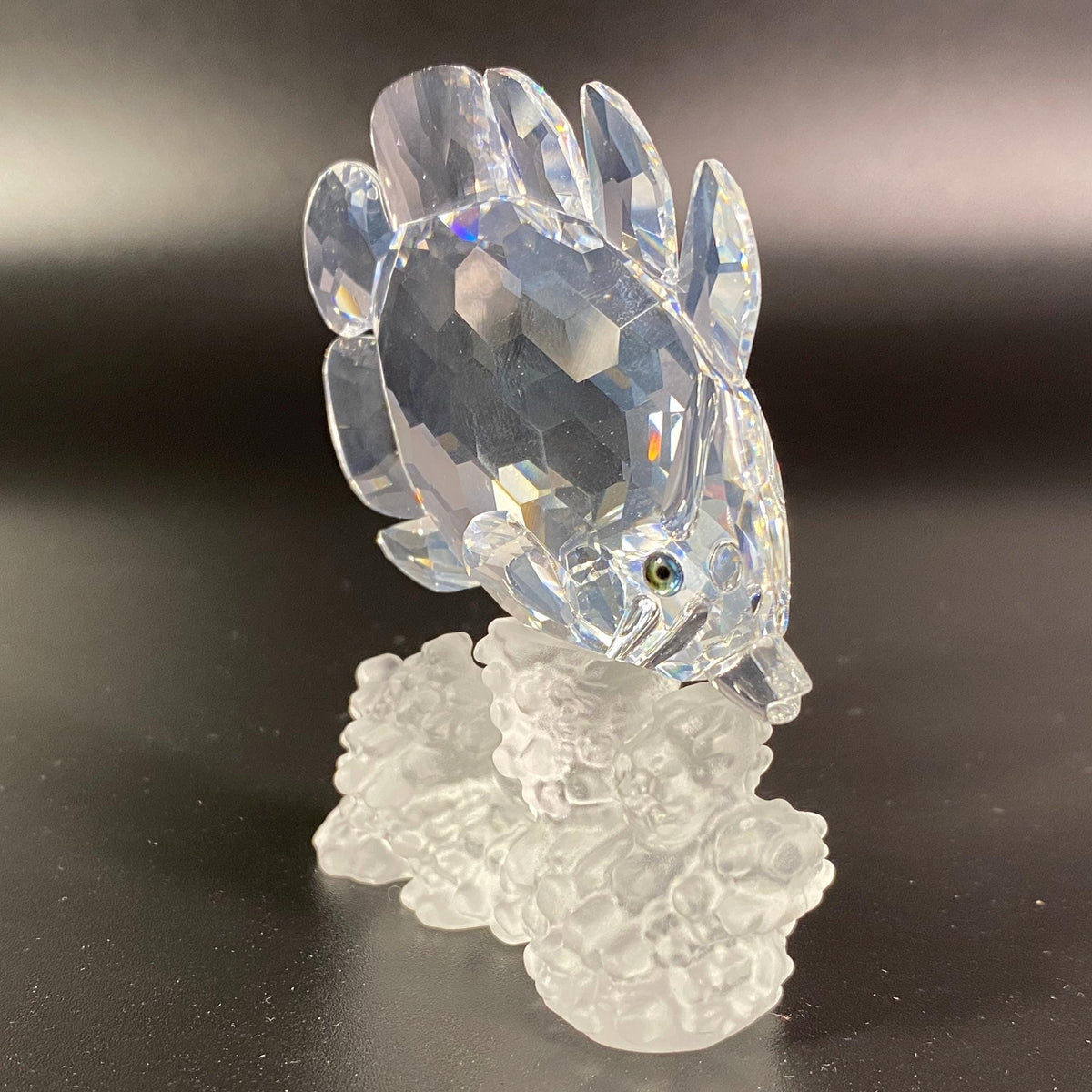 Swarovski Crystal Butterfly Fish Coral Reef - Mint In Box #162888 & CoA