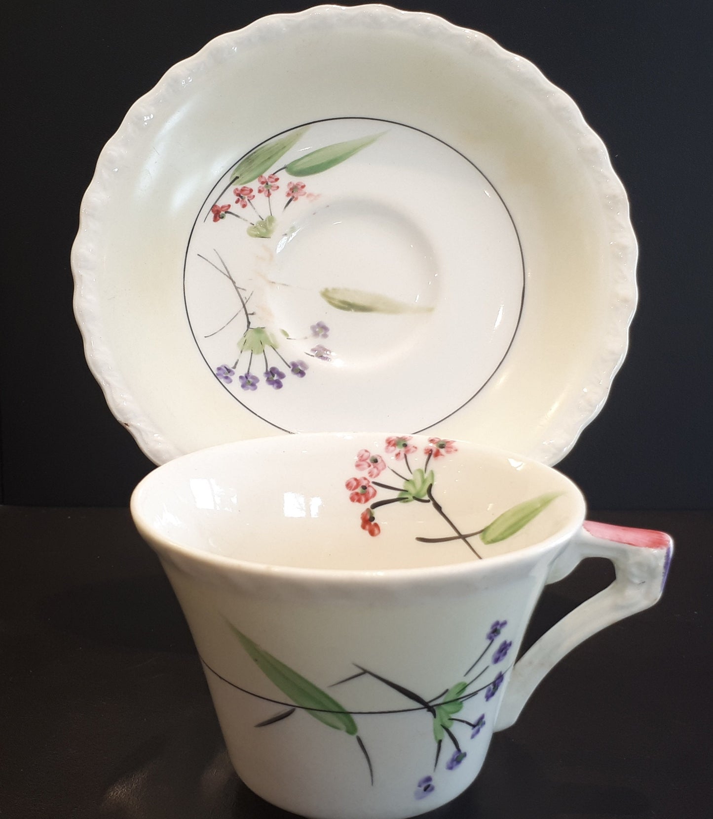 Very Rare Myott, Son & Co. of England Hand Painted Tea Cup and Saucer