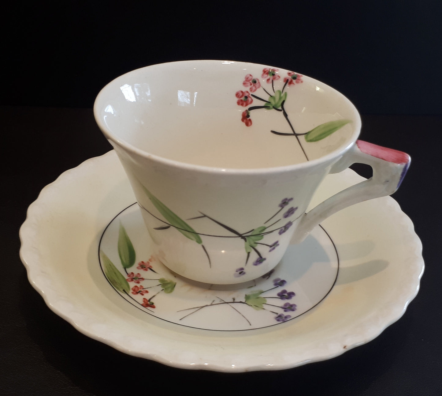 Very Rare Myott, Son & Co. of England Hand Painted Tea Cup and Saucer