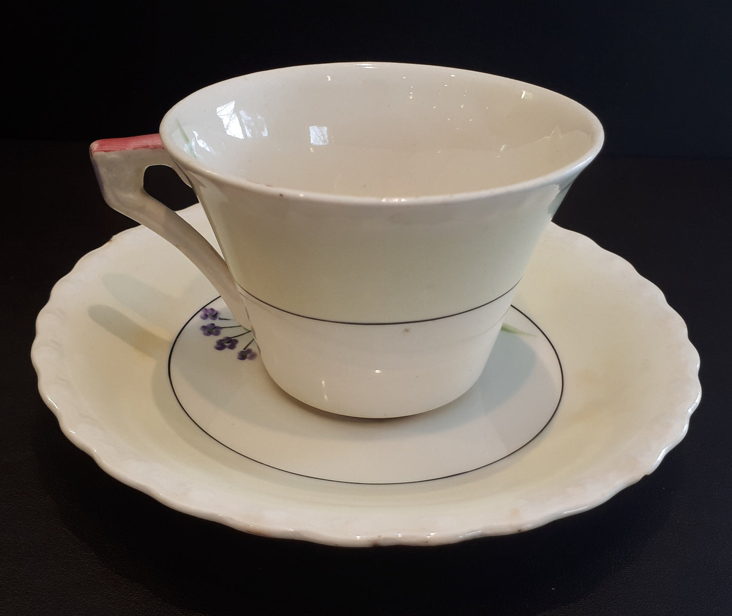 Very Rare Myott, Son & Co. of England Hand Painted Tea Cup and Saucer