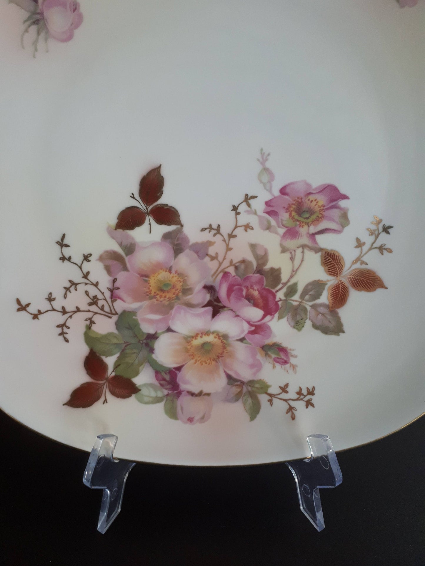 Vintage Schumann Arzberg Germany "Wild Rose"  Collector 10 1/2" Inches Plate - Hand Painted Pink Wild Roses with Gold Leaves and Vines