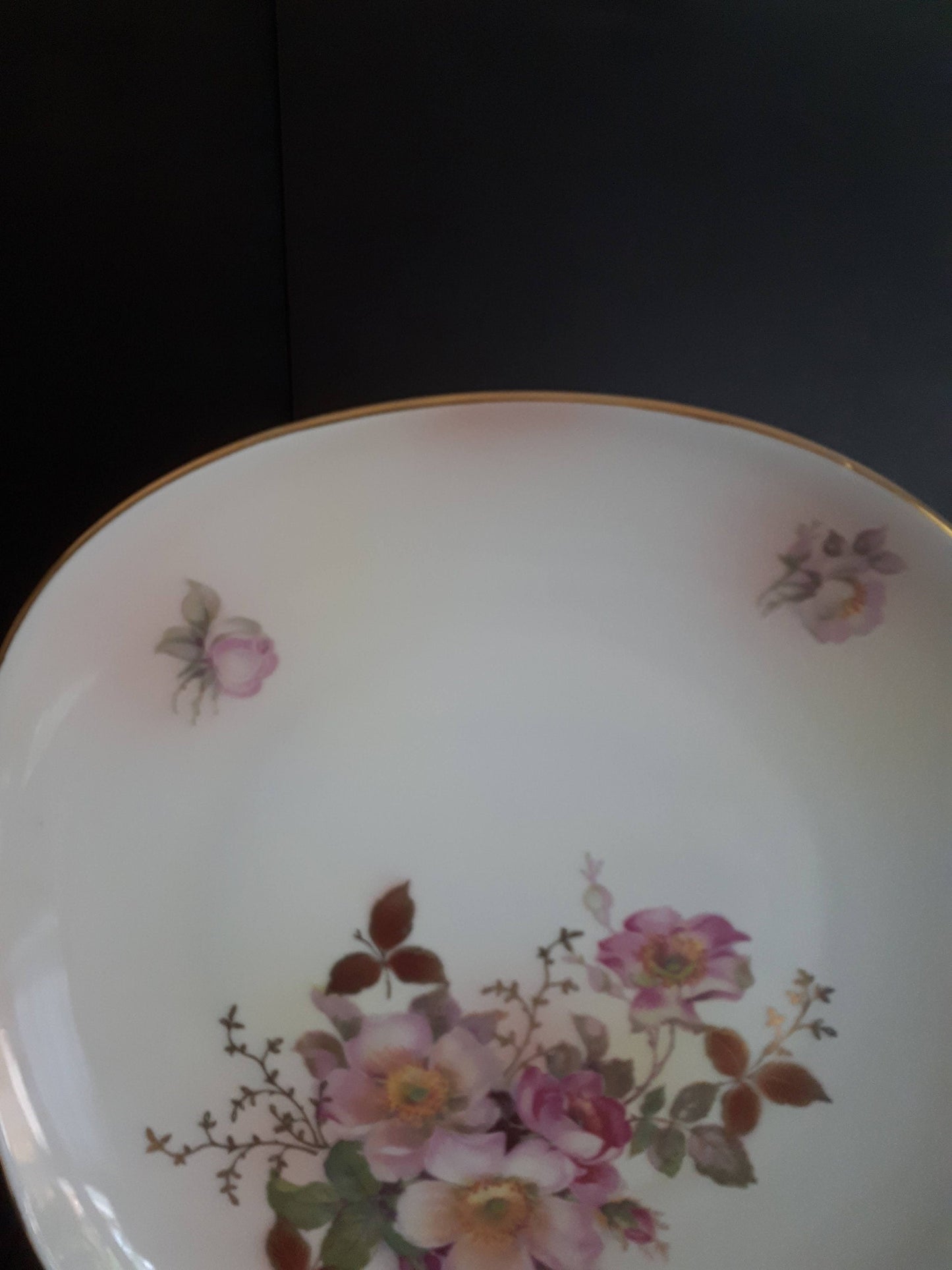 Vintage Schumann Arzberg Germany "Wild Rose"  Collector 10 1/2" Inches Plate - Hand Painted Pink Wild Roses with Gold Leaves and Vines