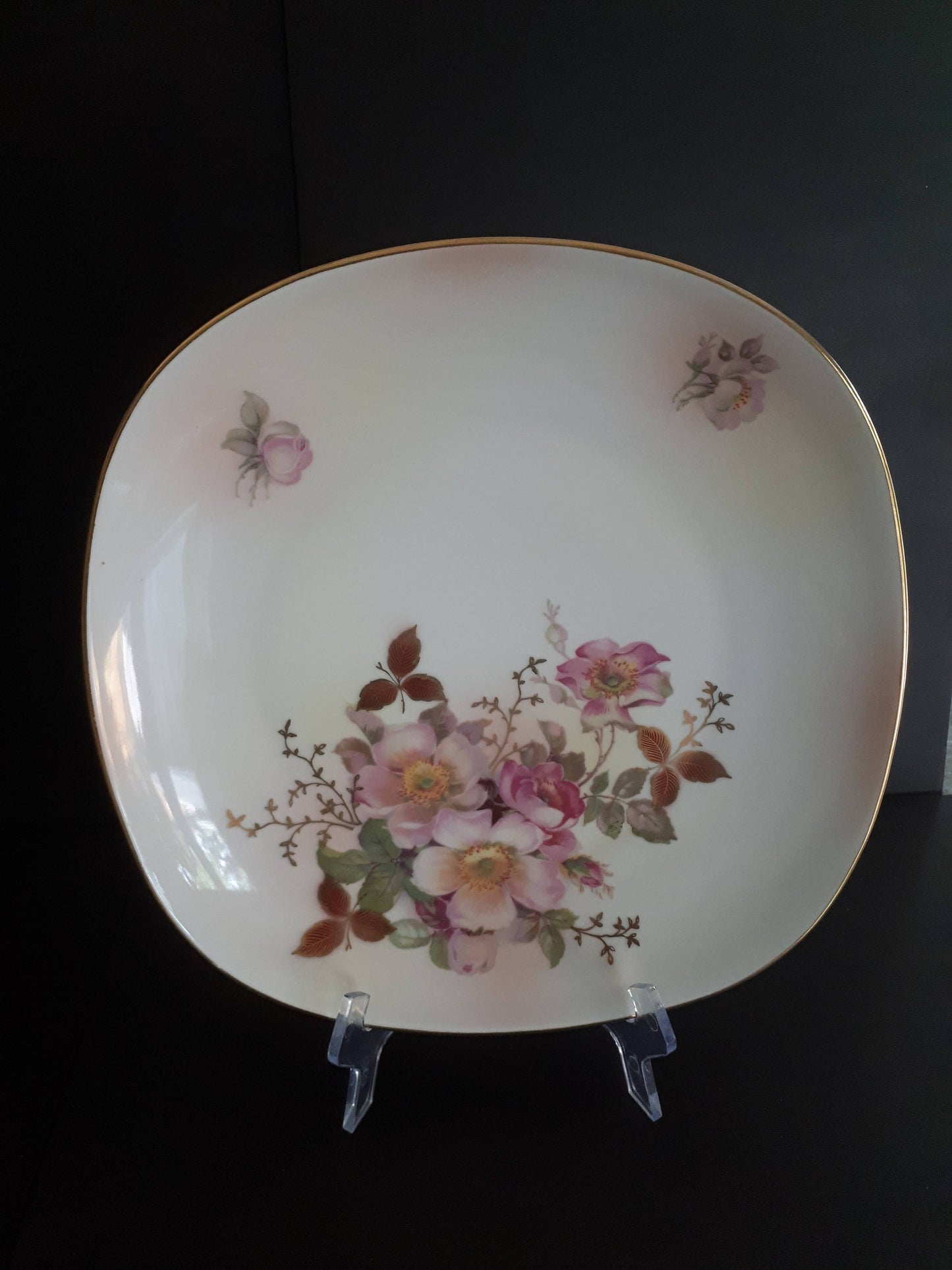 Vintage Schumann Arzberg Germany "Wild Rose"  Collector 10 1/2" Inches Plate - Hand Painted Pink Wild Roses with Gold Leaves and Vines