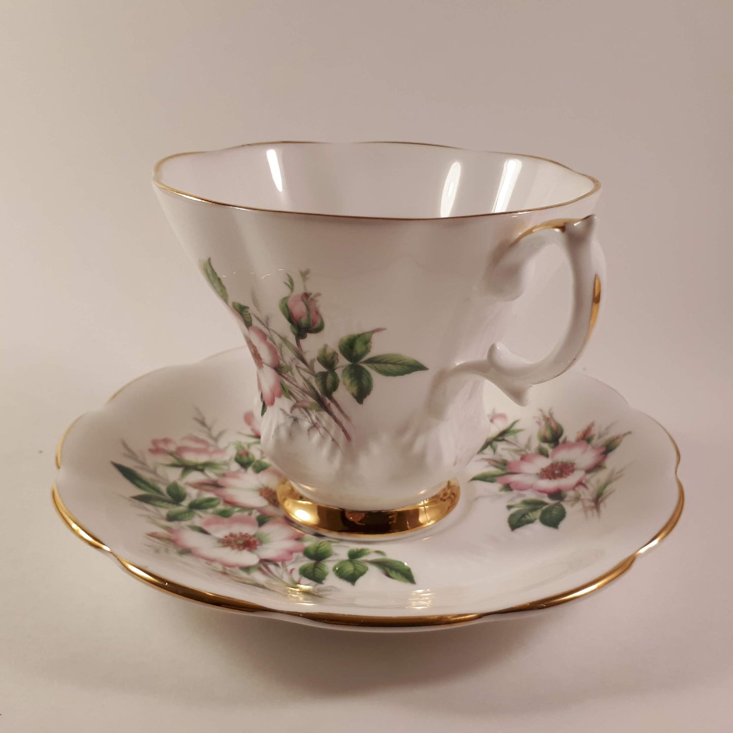 Vintage RARE Alberta Wild rose by Royal Albert teacup and saucer