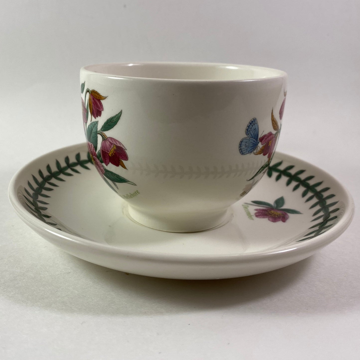 Portmeirion Botanic Garden Helleborus Orientalis hellebore December  Cup Saucer