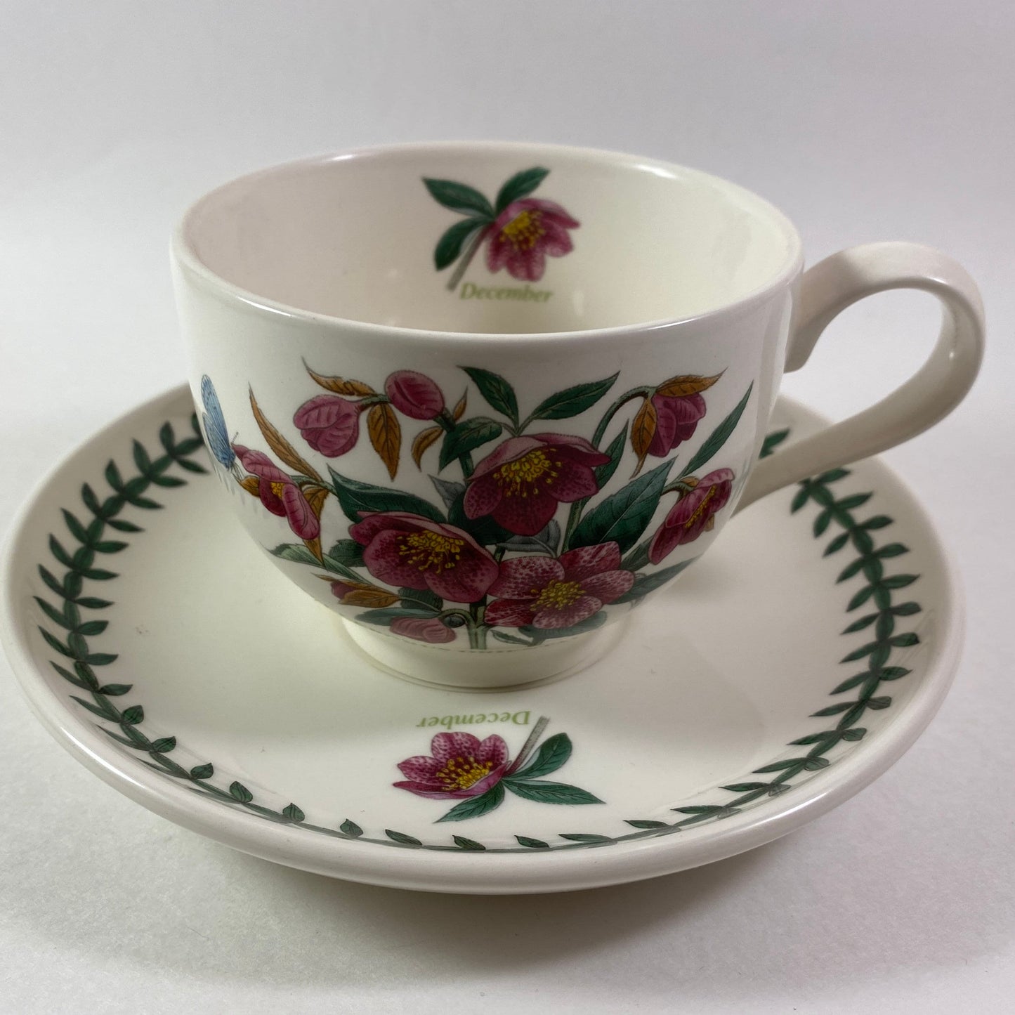 Portmeirion Botanic Garden Helleborus Orientalis hellebore December  Cup Saucer