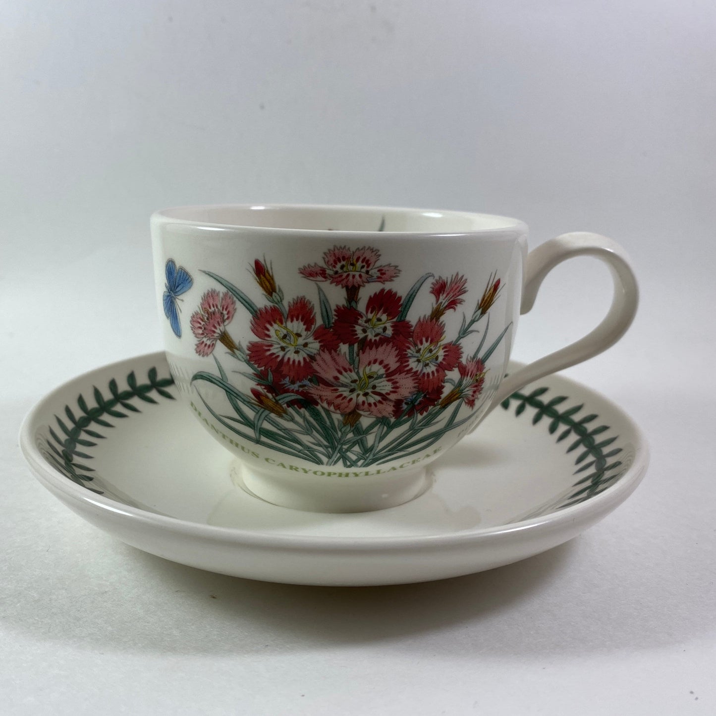 Portmeirion Botanic Garden  Dianthus caryophyllaceae Pinks Month JULY Cup Saucer