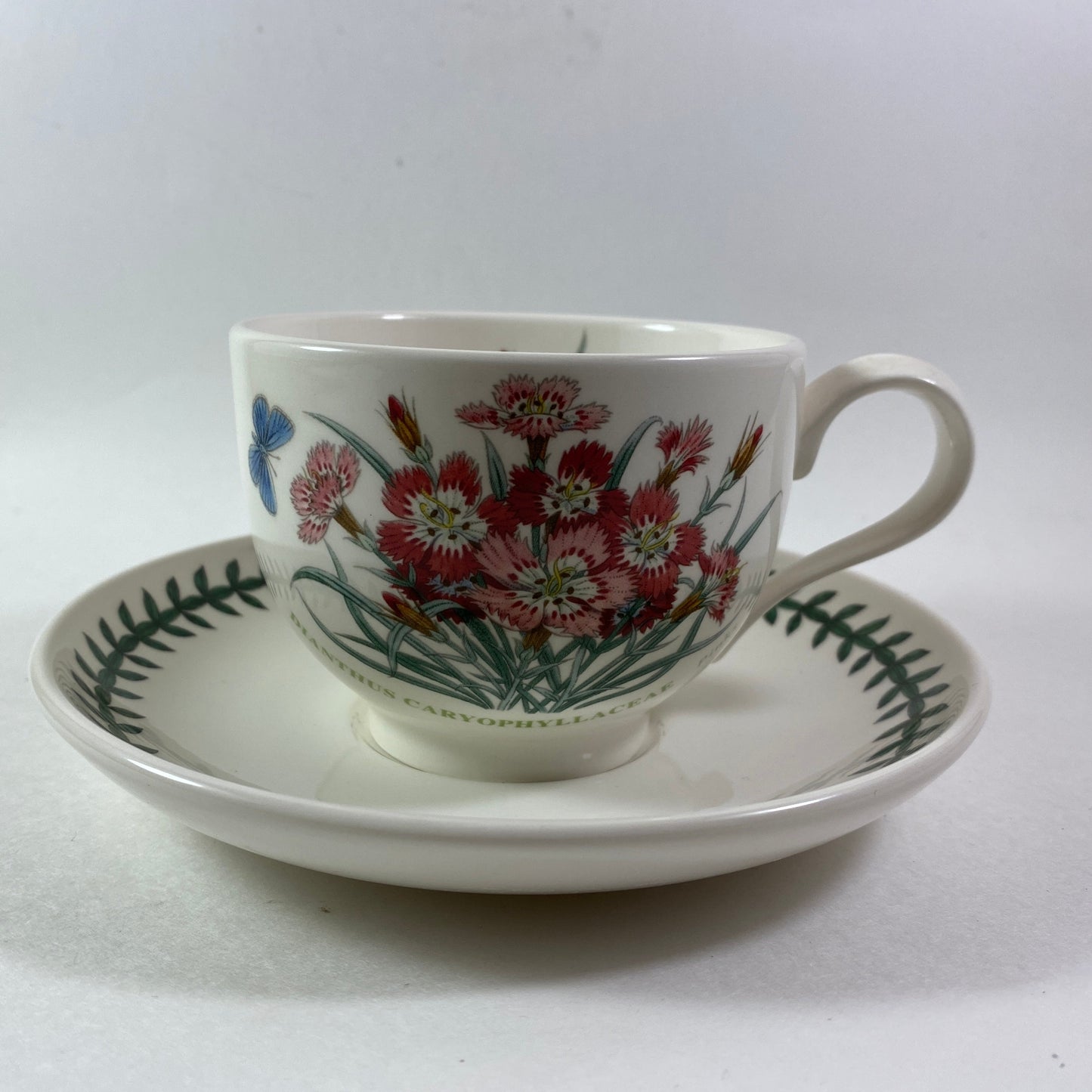 Portmeirion Botanic Garden  Dianthus caryophyllaceae Pinks Month JULY Cup Saucer
