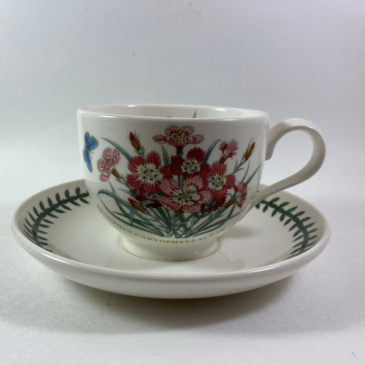 Portmeirion Botanic Garden  Dianthus caryophyllaceae Pinks Month JULY Cup Saucer