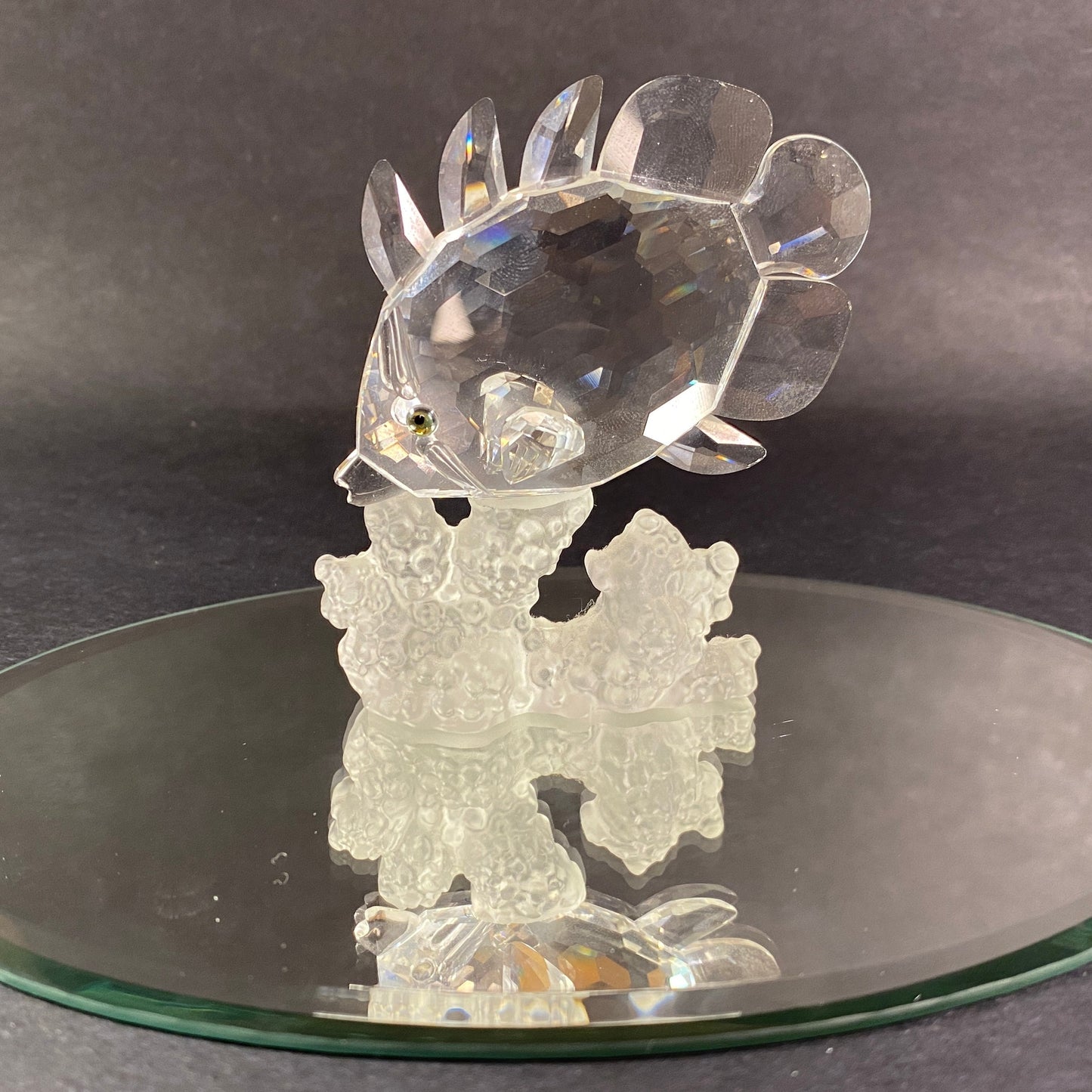 Swarovski Crystal Butterfly Fish Figurine Clear on Reef with display mirror