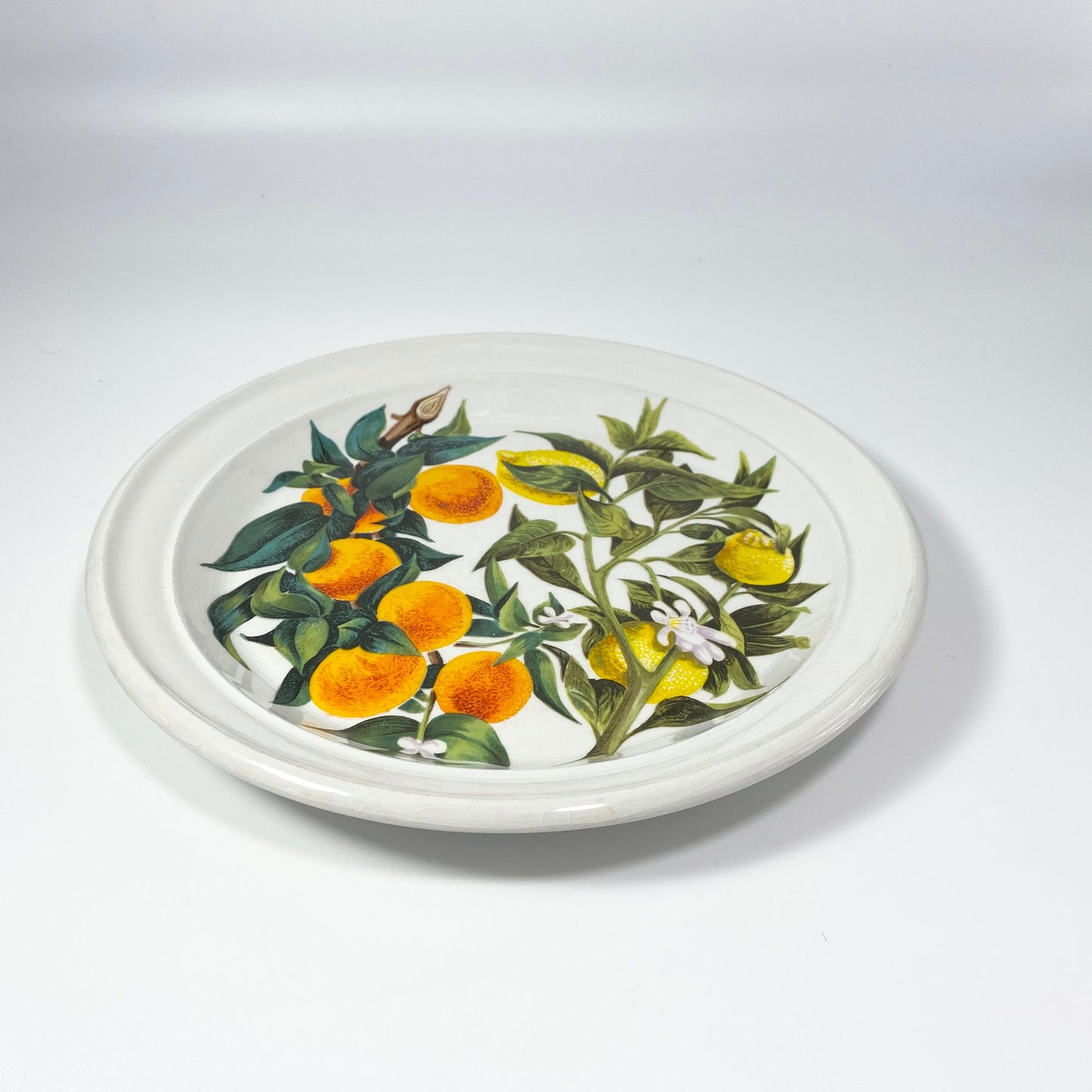 RARE !! Portmeirion ORANGE & LEMONS 8.5 inches Plate  sold individually