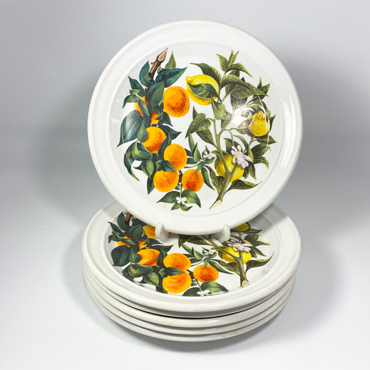 RARE !! Portmeirion ORANGE & LEMONS 8.5 inches Plate  sold individually