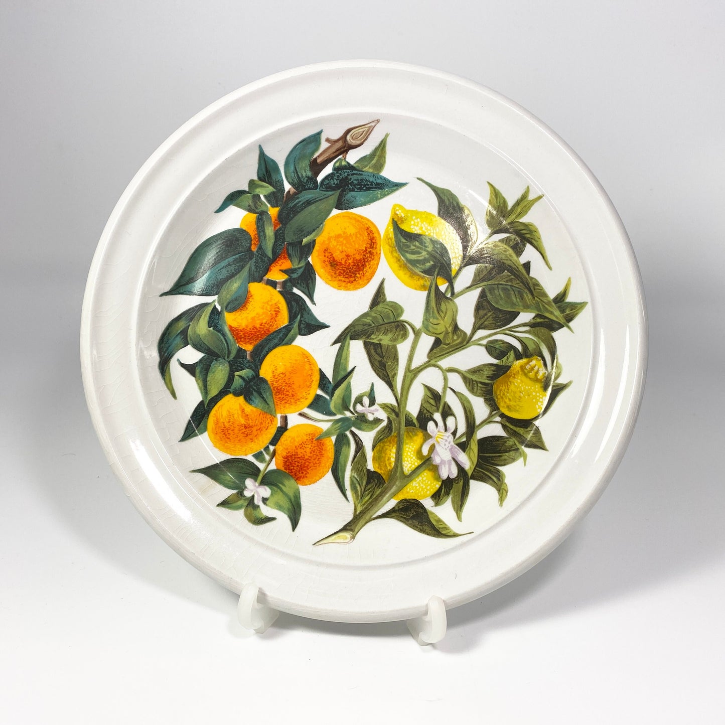 RARE !! Portmeirion ORANGE & LEMONS 8.5 inches Plate  sold individually