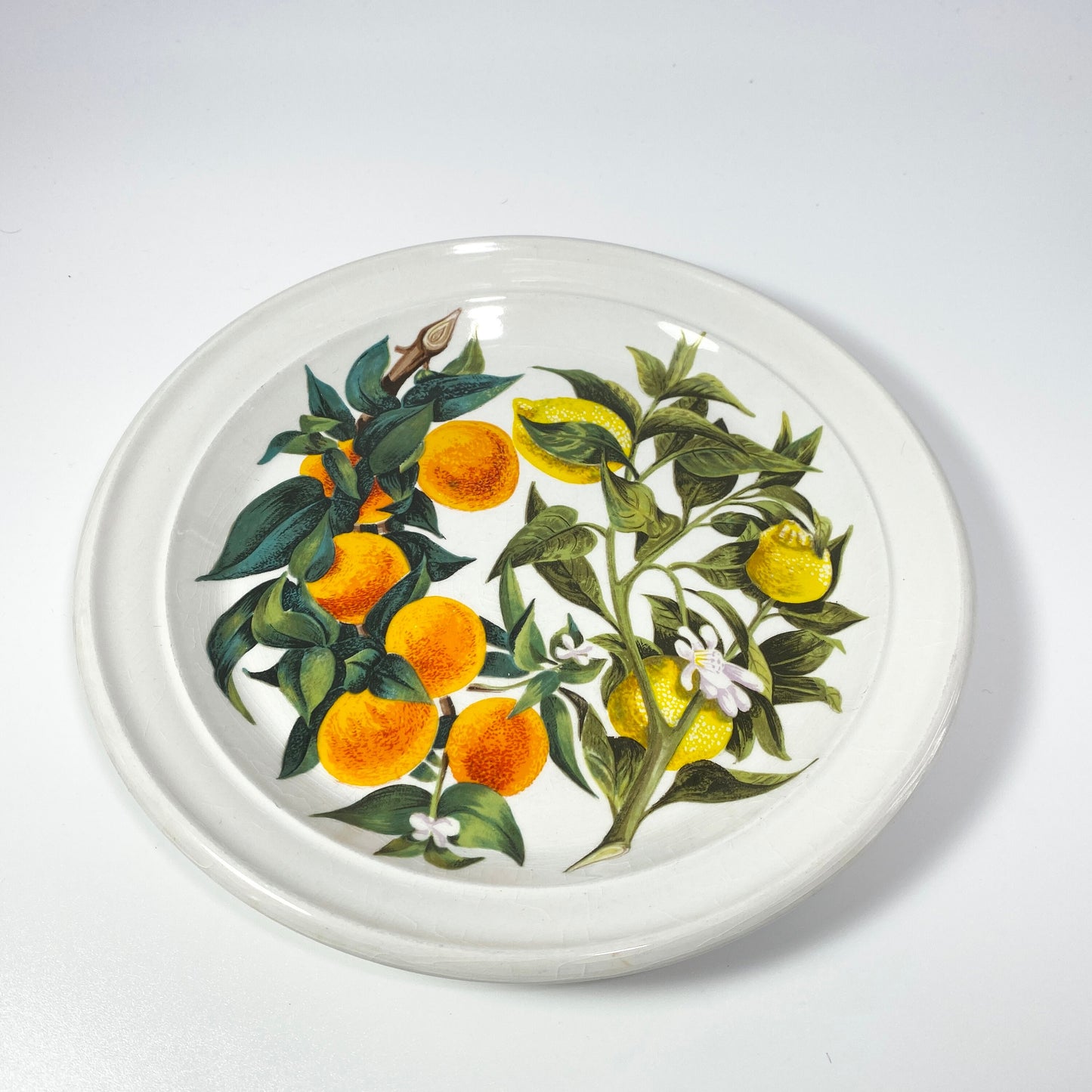 RARE !! Portmeirion ORANGE & LEMONS 8.5 inches Plate  sold individually