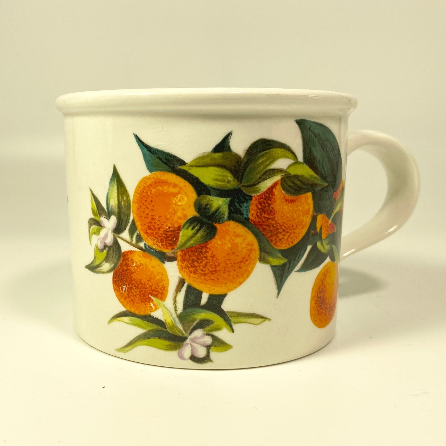 RARE !! Portmerion Cymru Tea Coffee Cups Mugs Fruits design Oranges & lemons