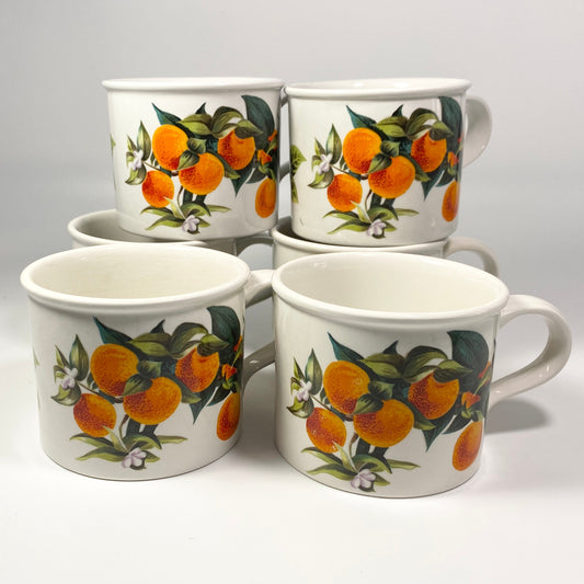 RARE !! Portmerion Cymru Tea Coffee Cups Mugs Fruits design Oranges & lemons