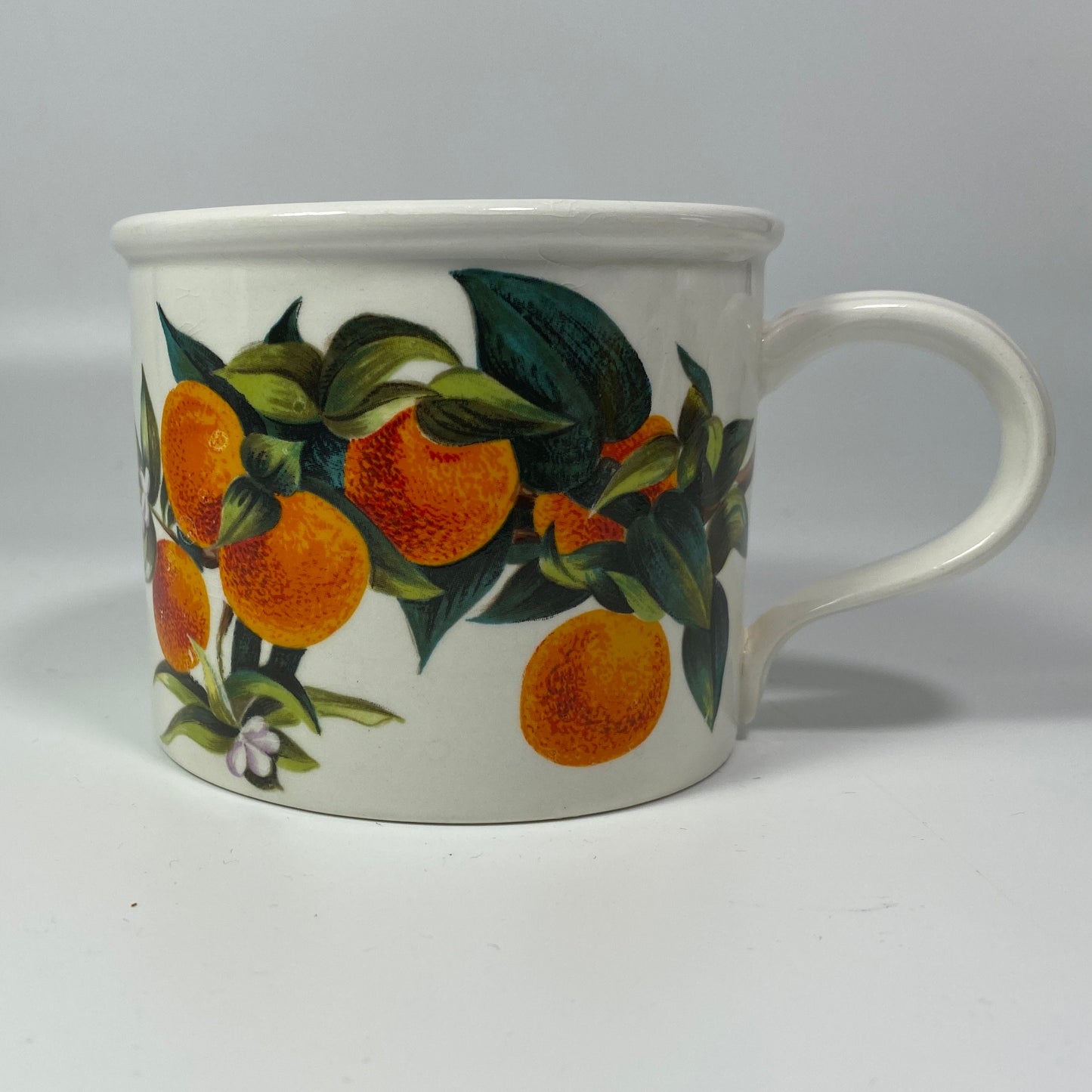 RARE !! Portmerion Cymru Tea Coffee Cups Mugs Fruits design Oranges & lemons