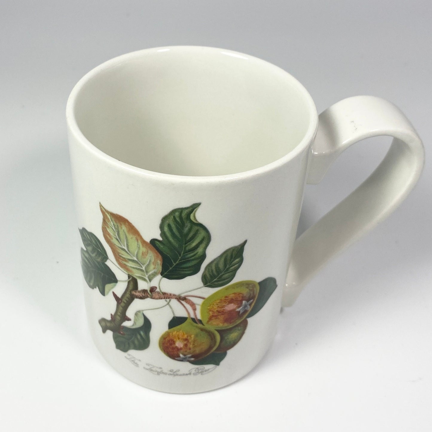 Portmeirion Pomona Grimwoods Teinton Squash Pear coffee tea mug