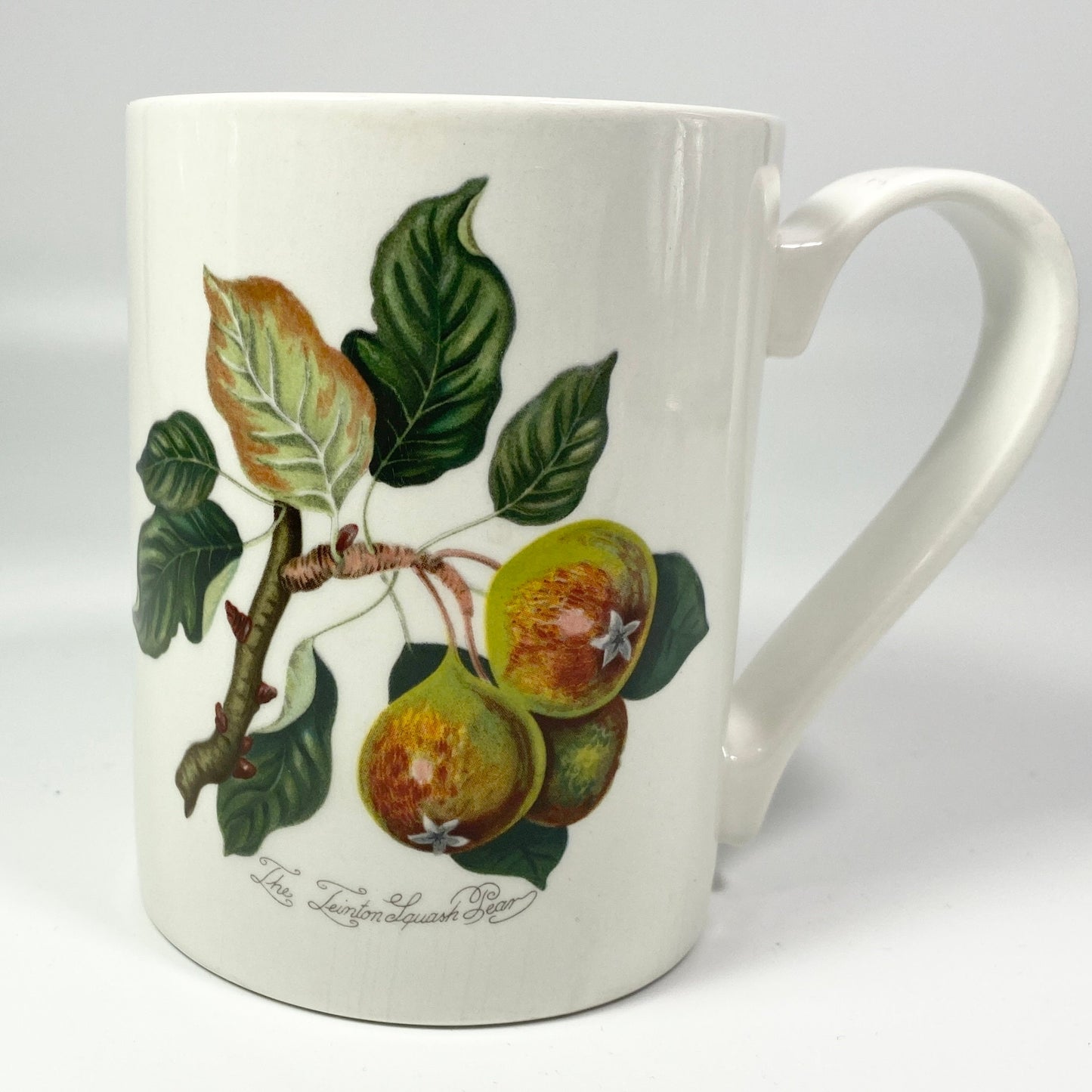 Portmeirion Pomona Grimwoods Teinton Squash Pear coffee tea mug