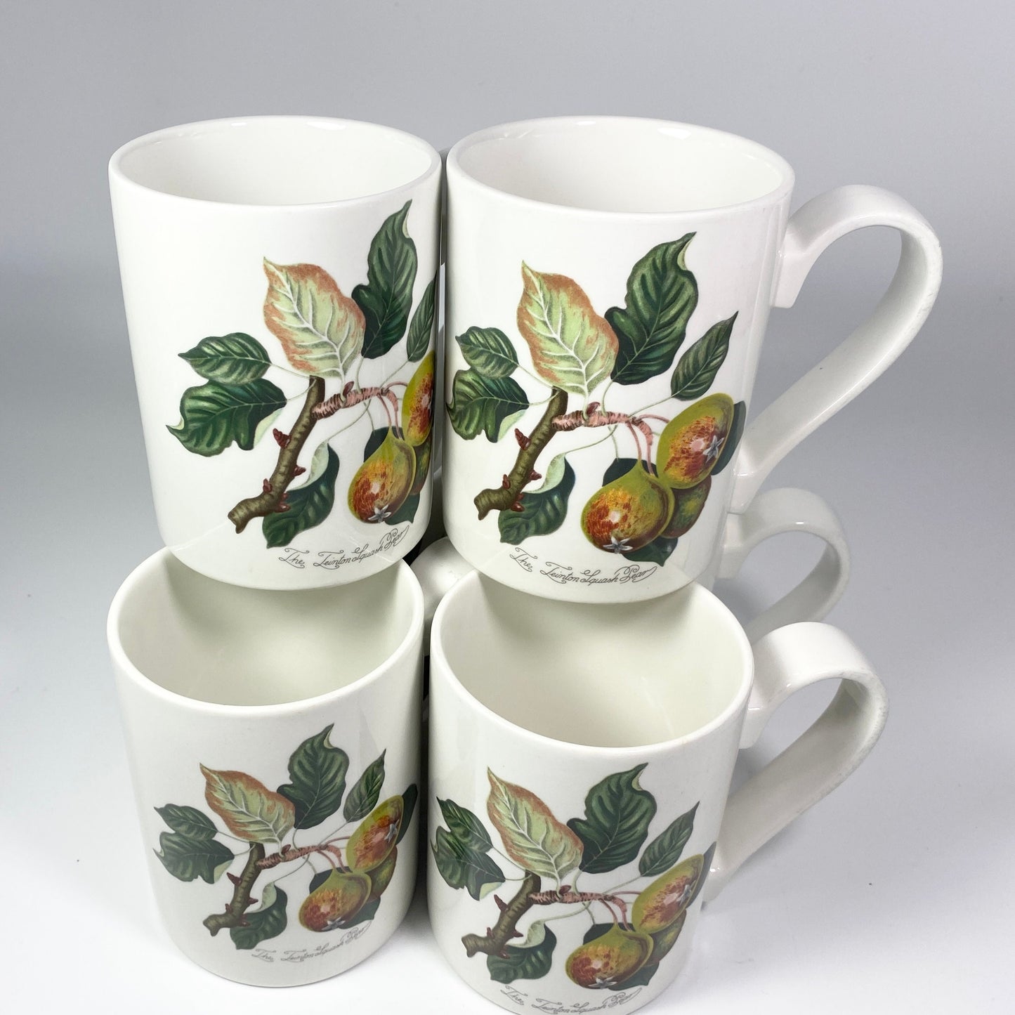 Portmeirion Pomona Grimwoods Teinton Squash Pear coffee tea mug