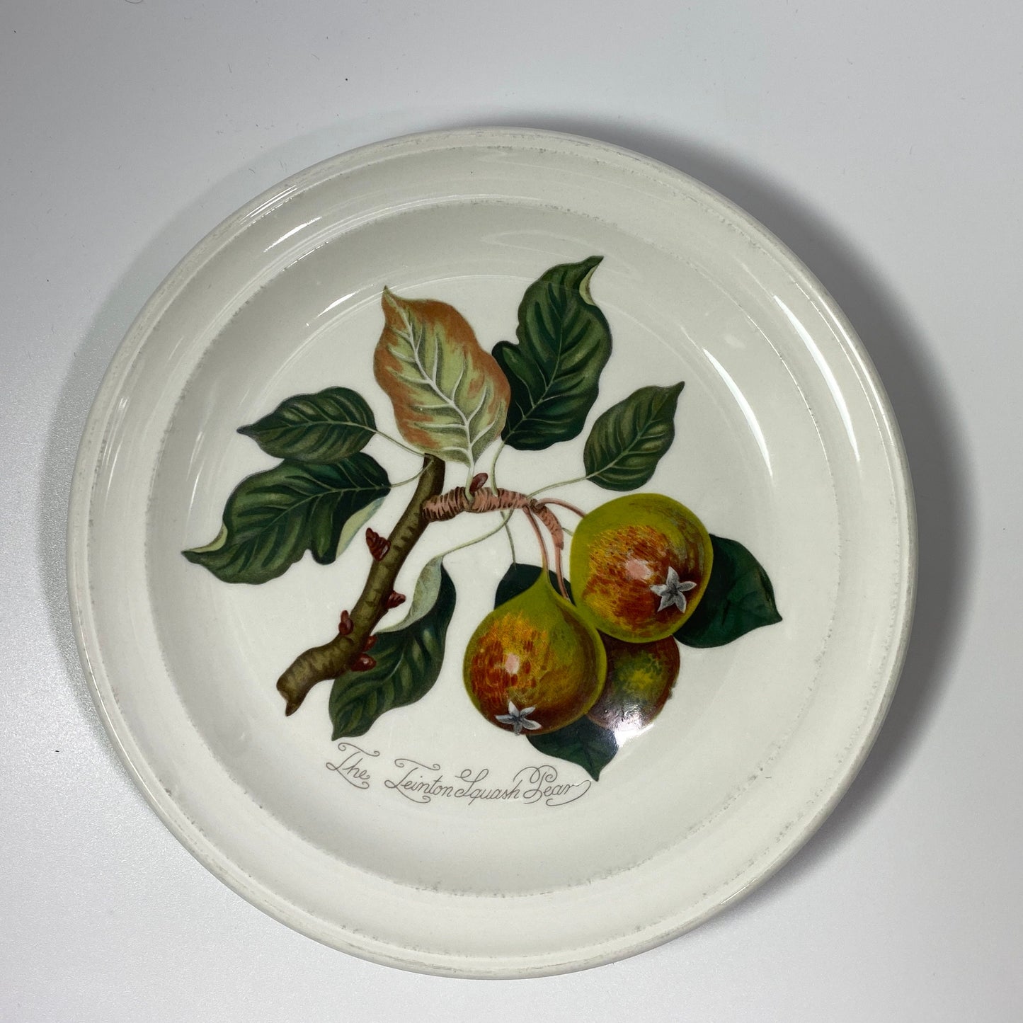 PORTMEIRION  7 .25 side Plate POMONA The Goddess Of Fruit Teinton Squash Pear